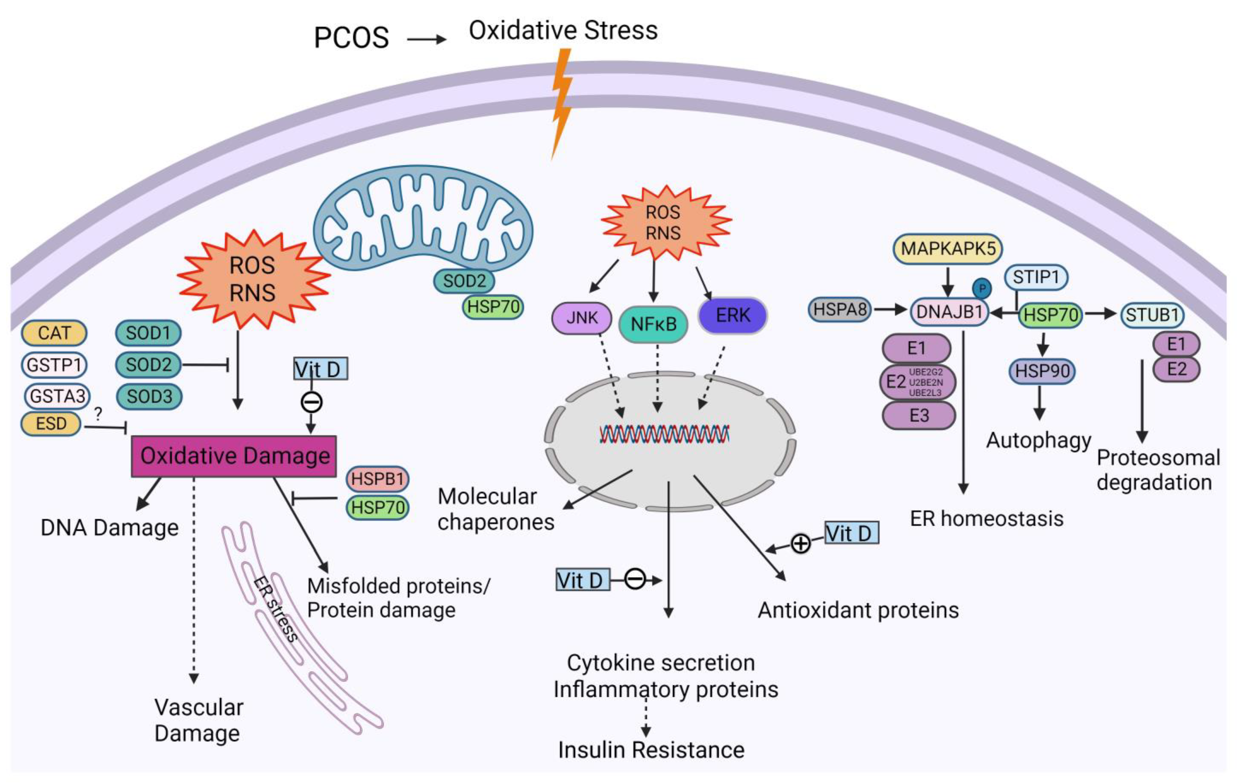 Biomedicines 11 02044 g001