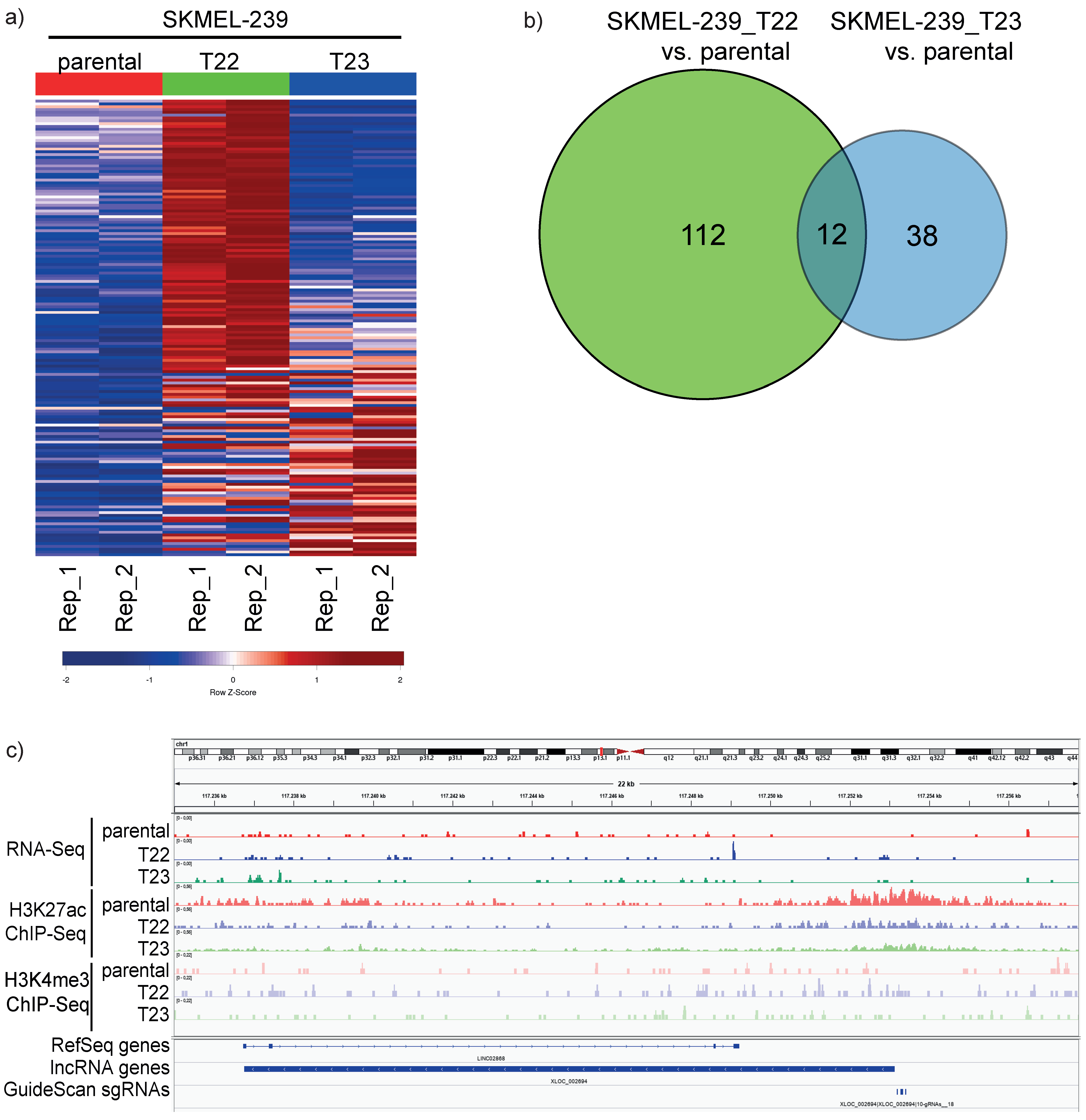 Biomedicines 11 02054 g001 Biomedicines 11 02054 g001