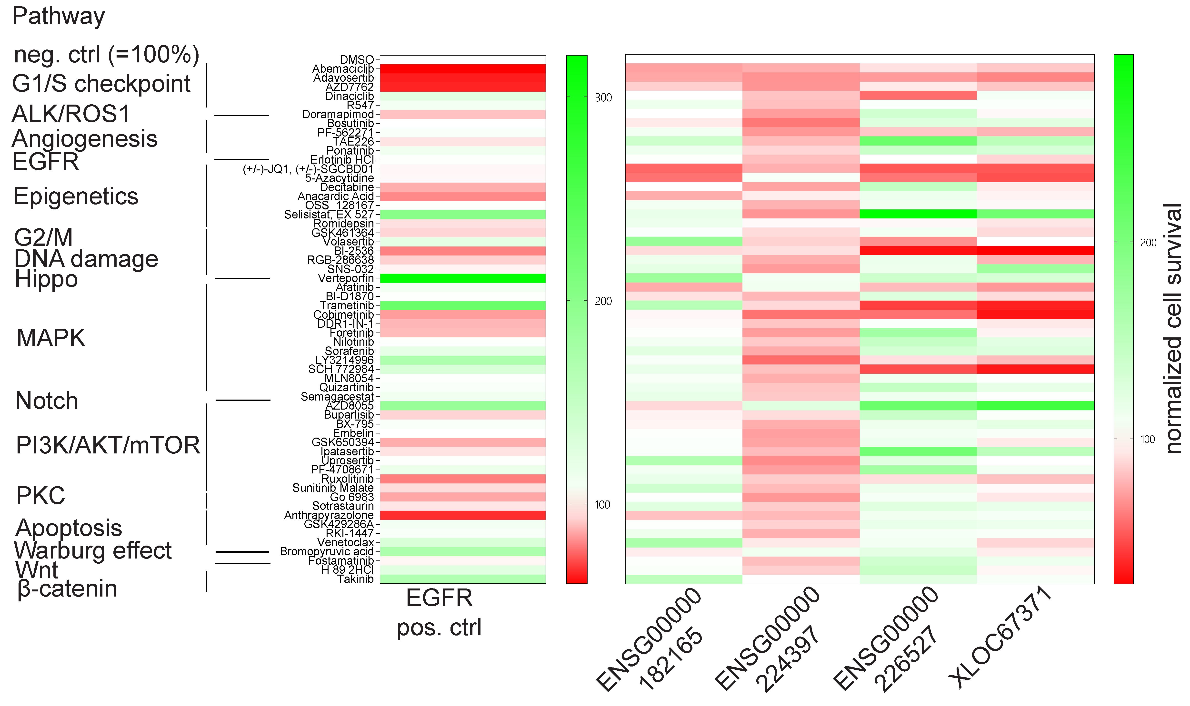 Biomedicines 11 02054 g004 Biomedicines 11 02054 g004