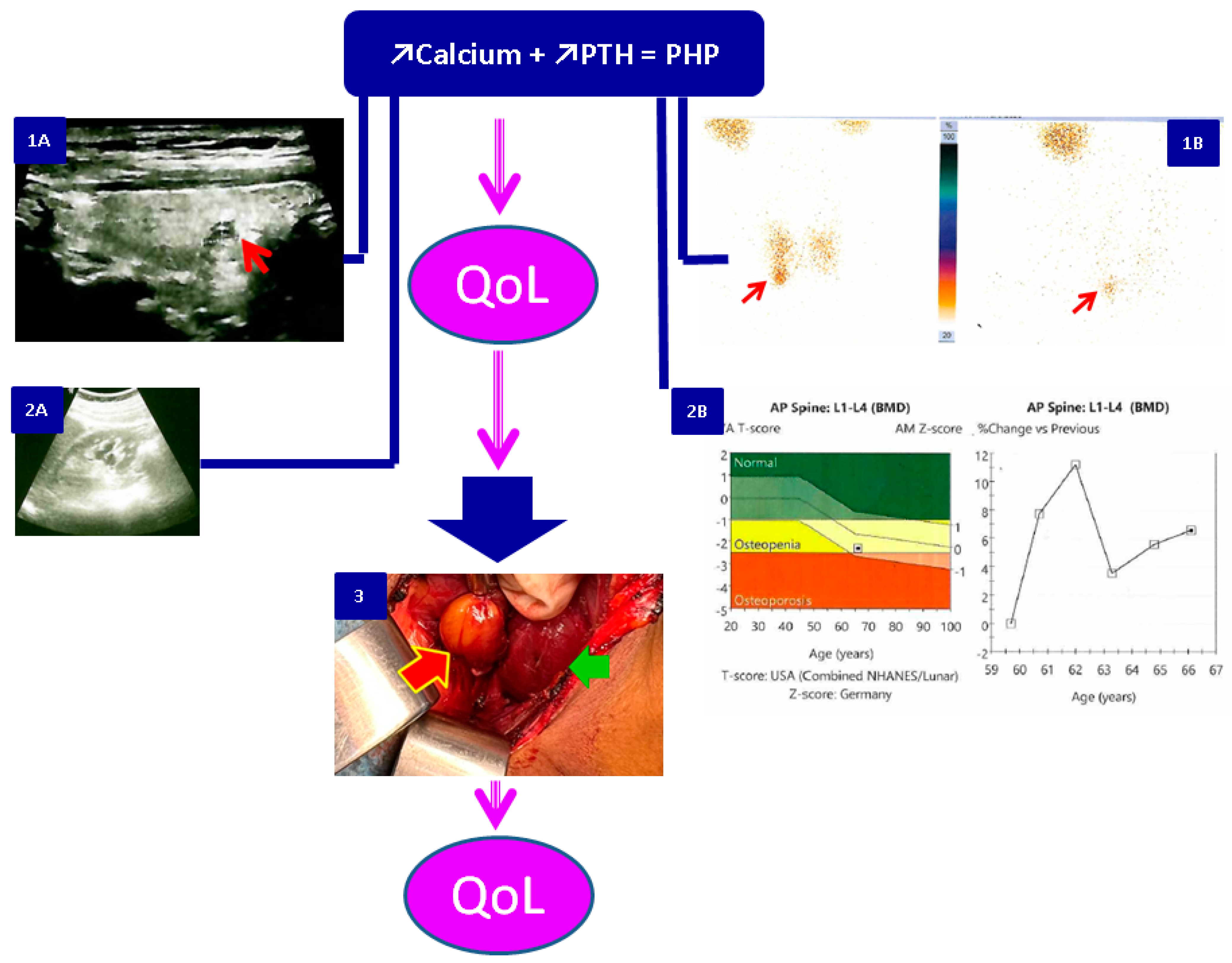 Biomedicines 11 02059 g002 Biomedicines 11 02059 g002