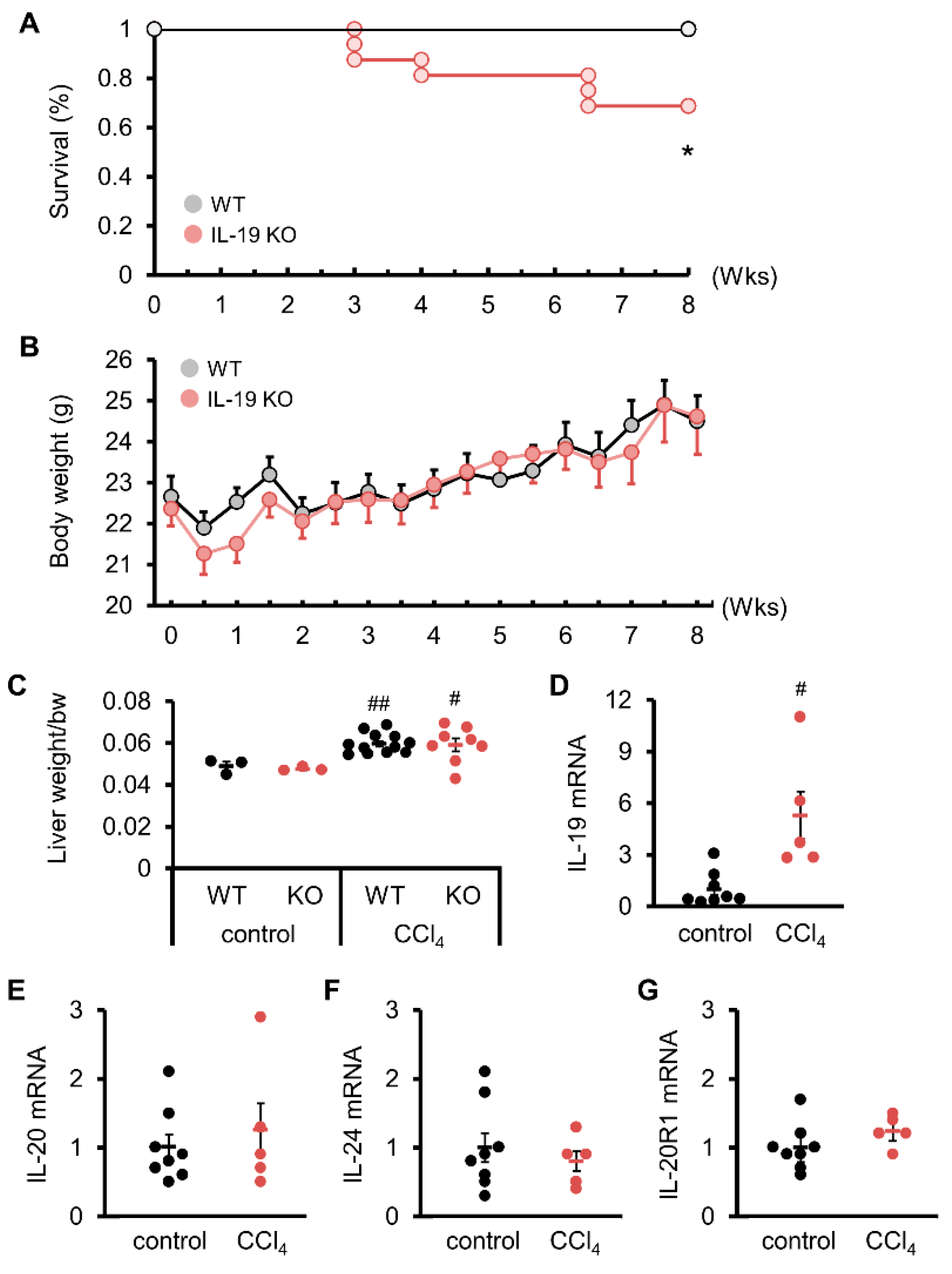 Biomedicines 11 02064 g001