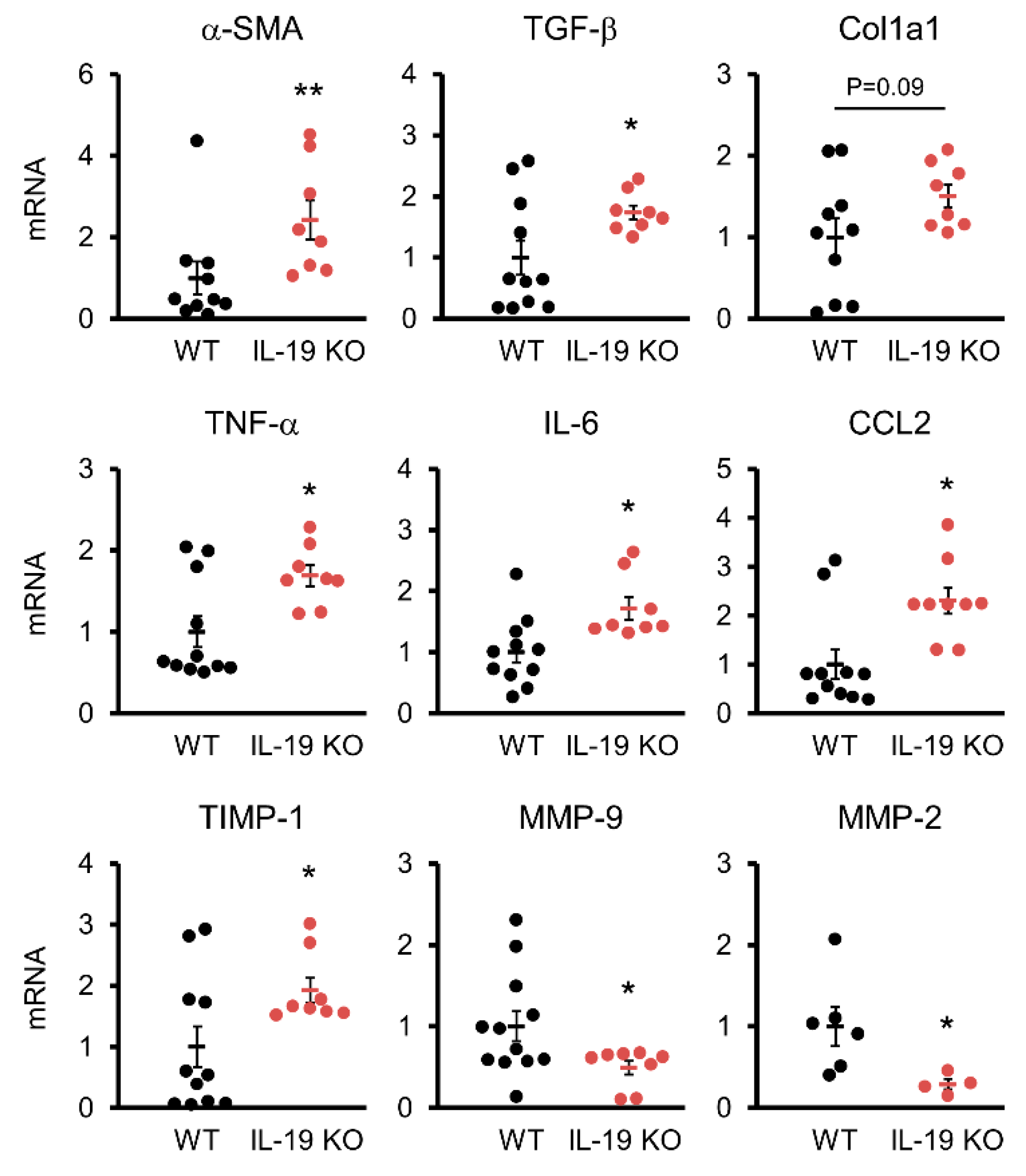 Biomedicines 11 02064 g004
