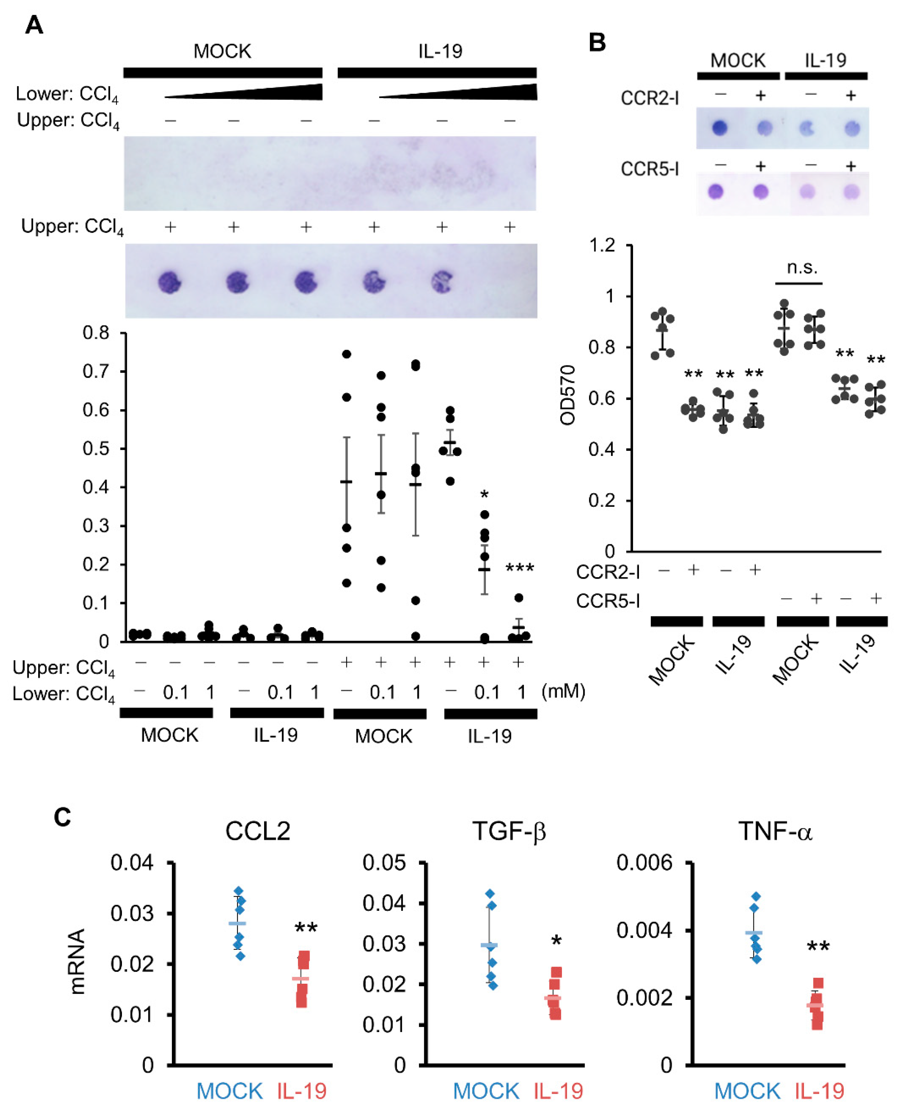 Biomedicines 11 02064 g007