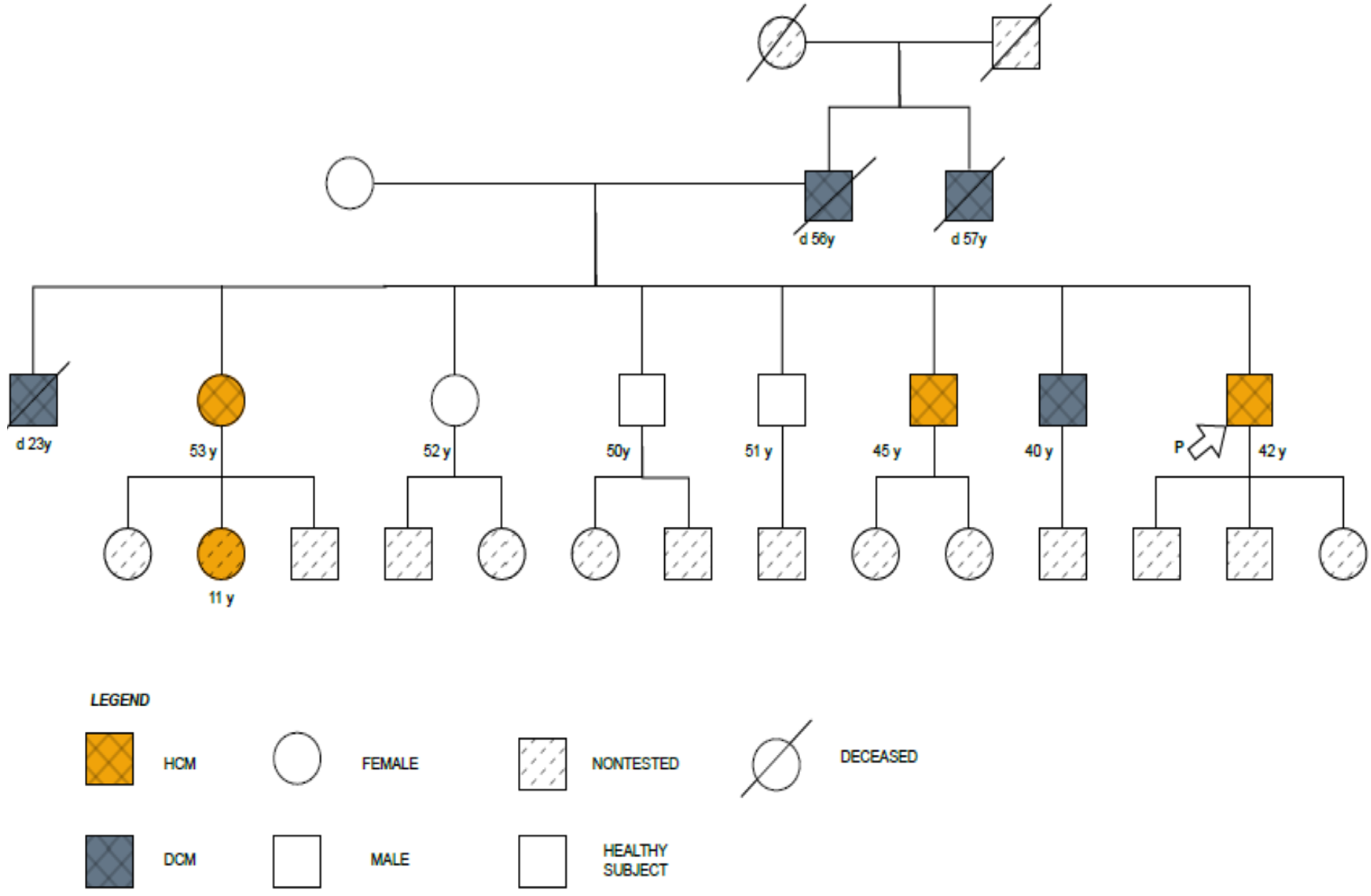 Biomedicines 11 02065 g001