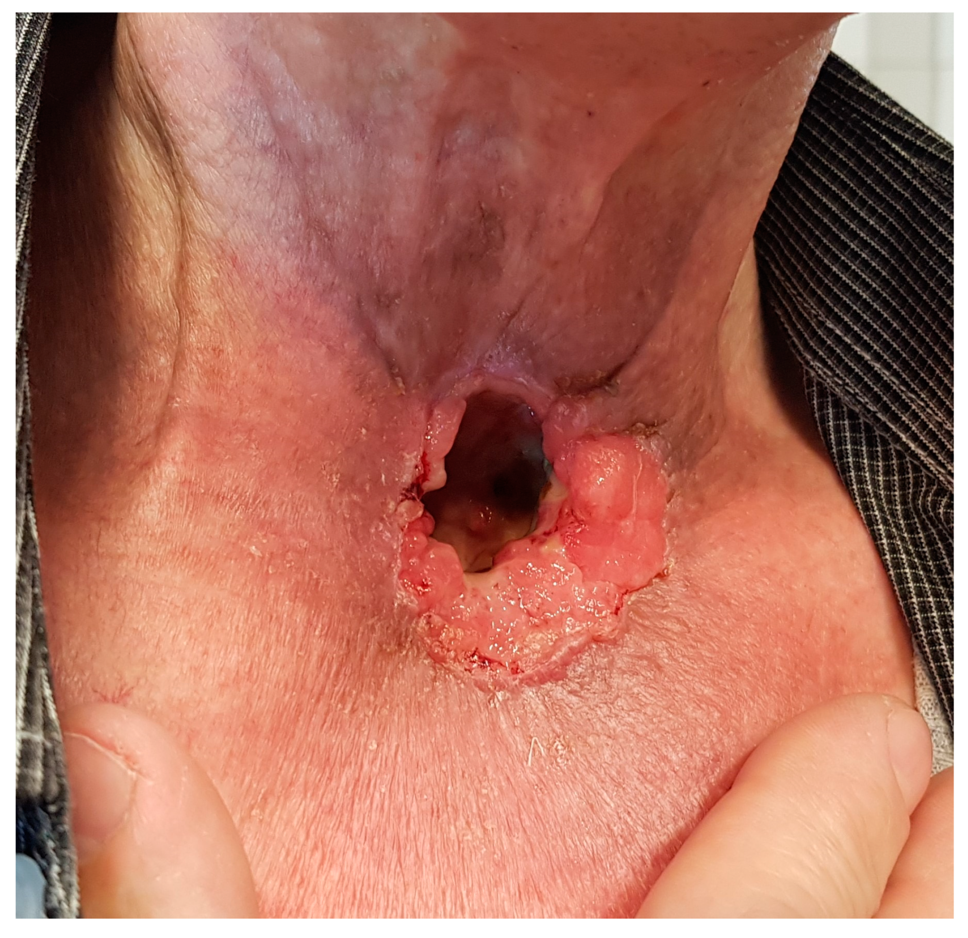 Biomedicines 11 02067 g003