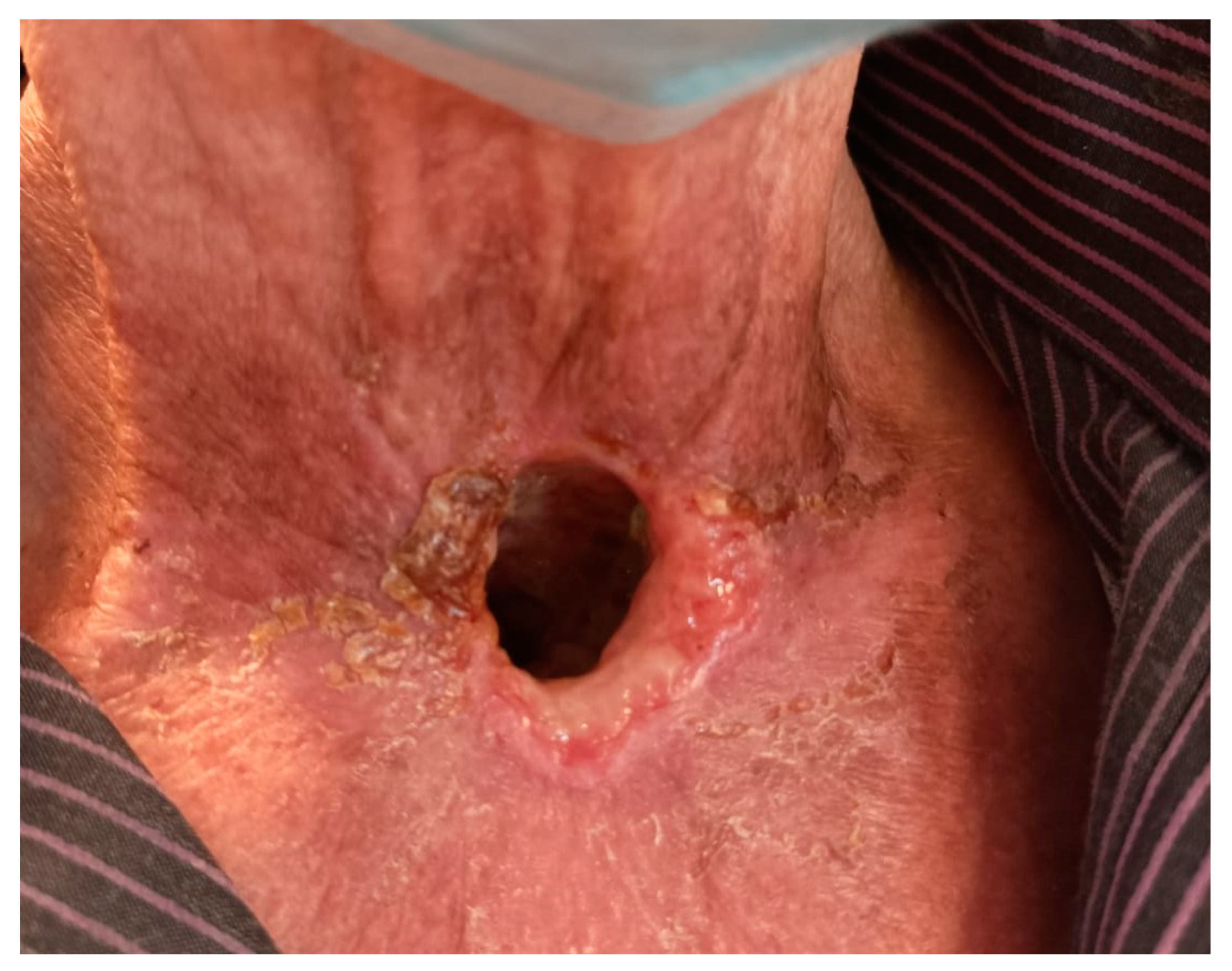 Biomedicines 11 02067 g004