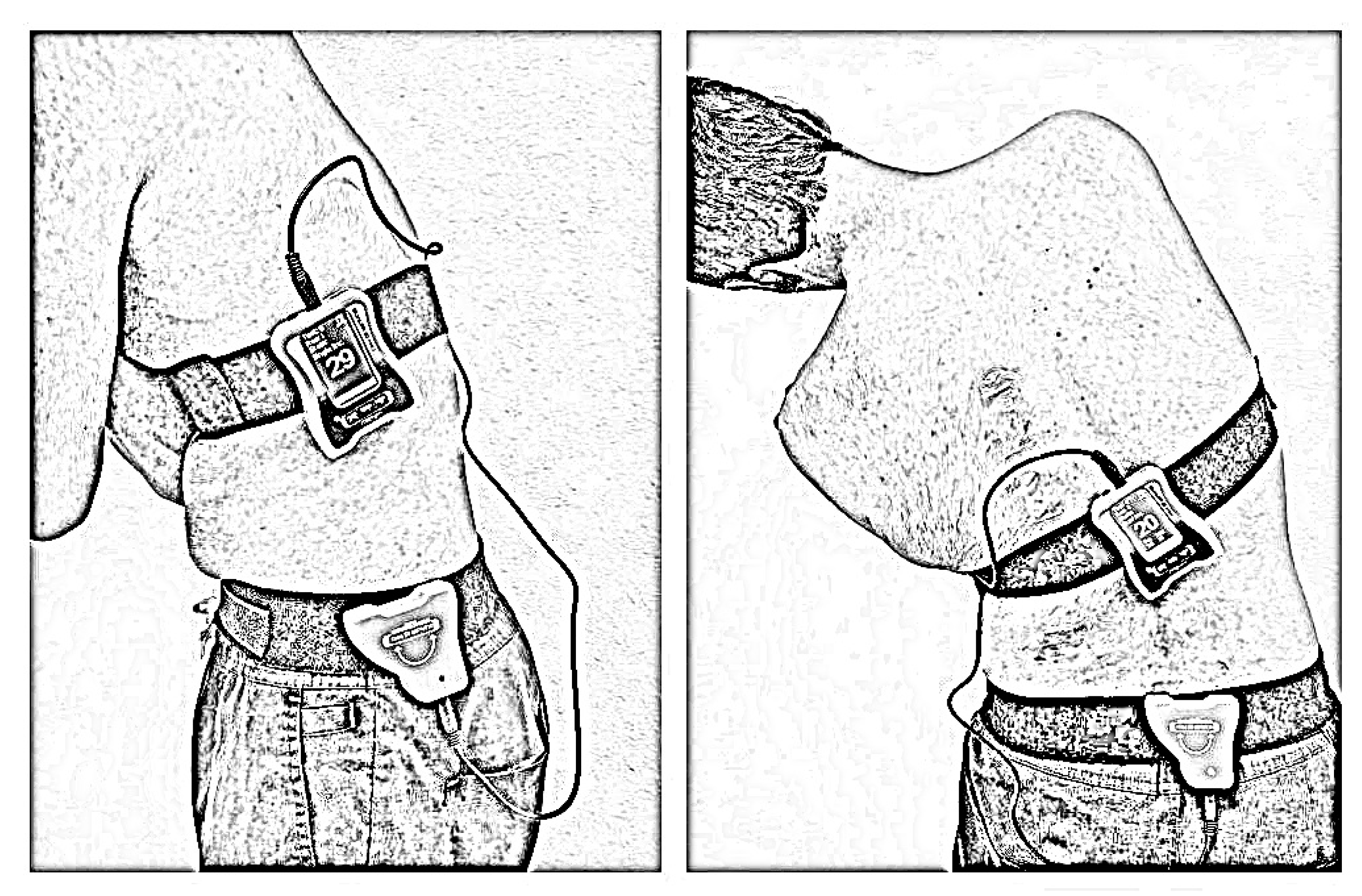 Biomedicines 11 02068 g001