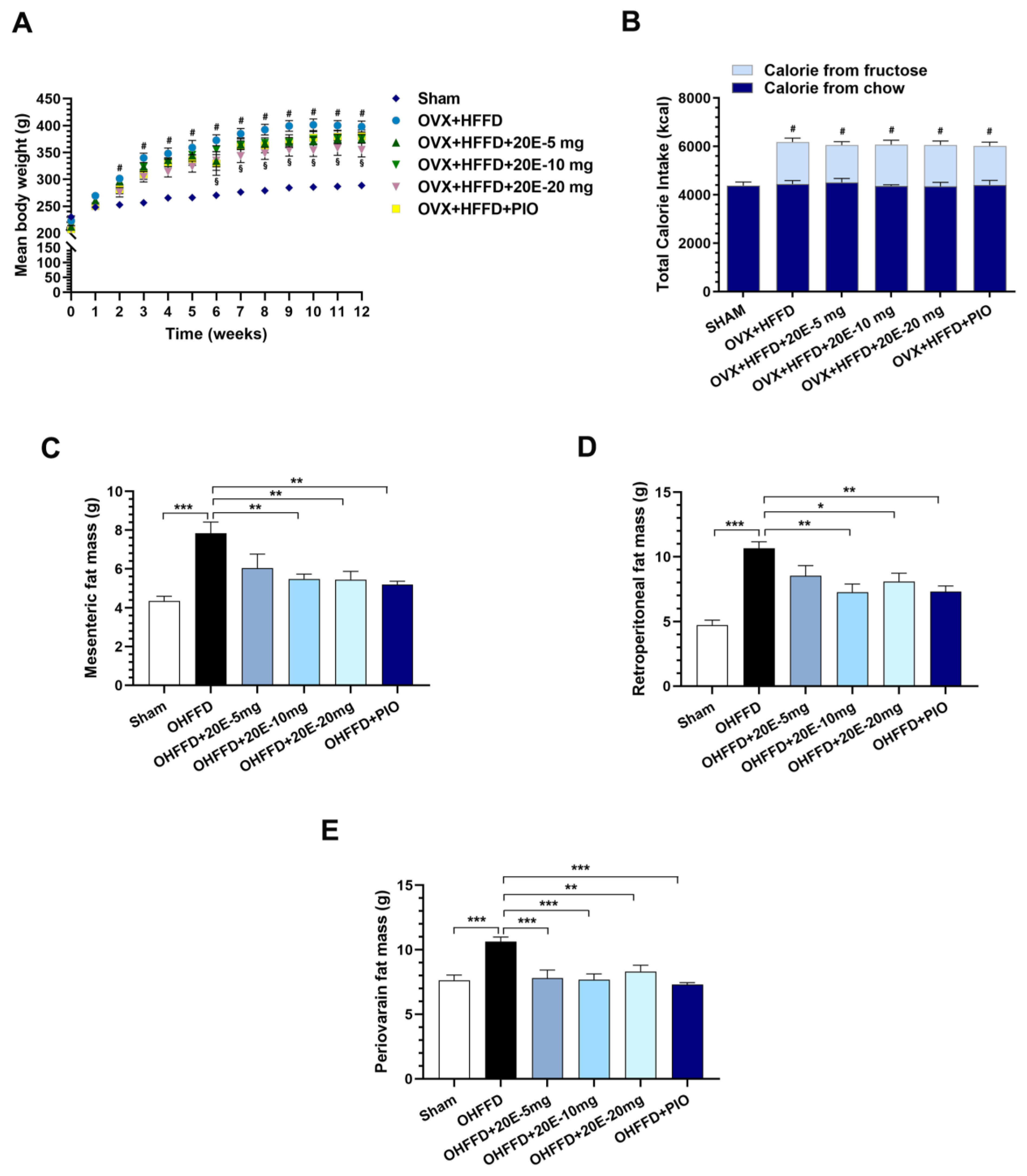 Biomedicines 11 02071 g001