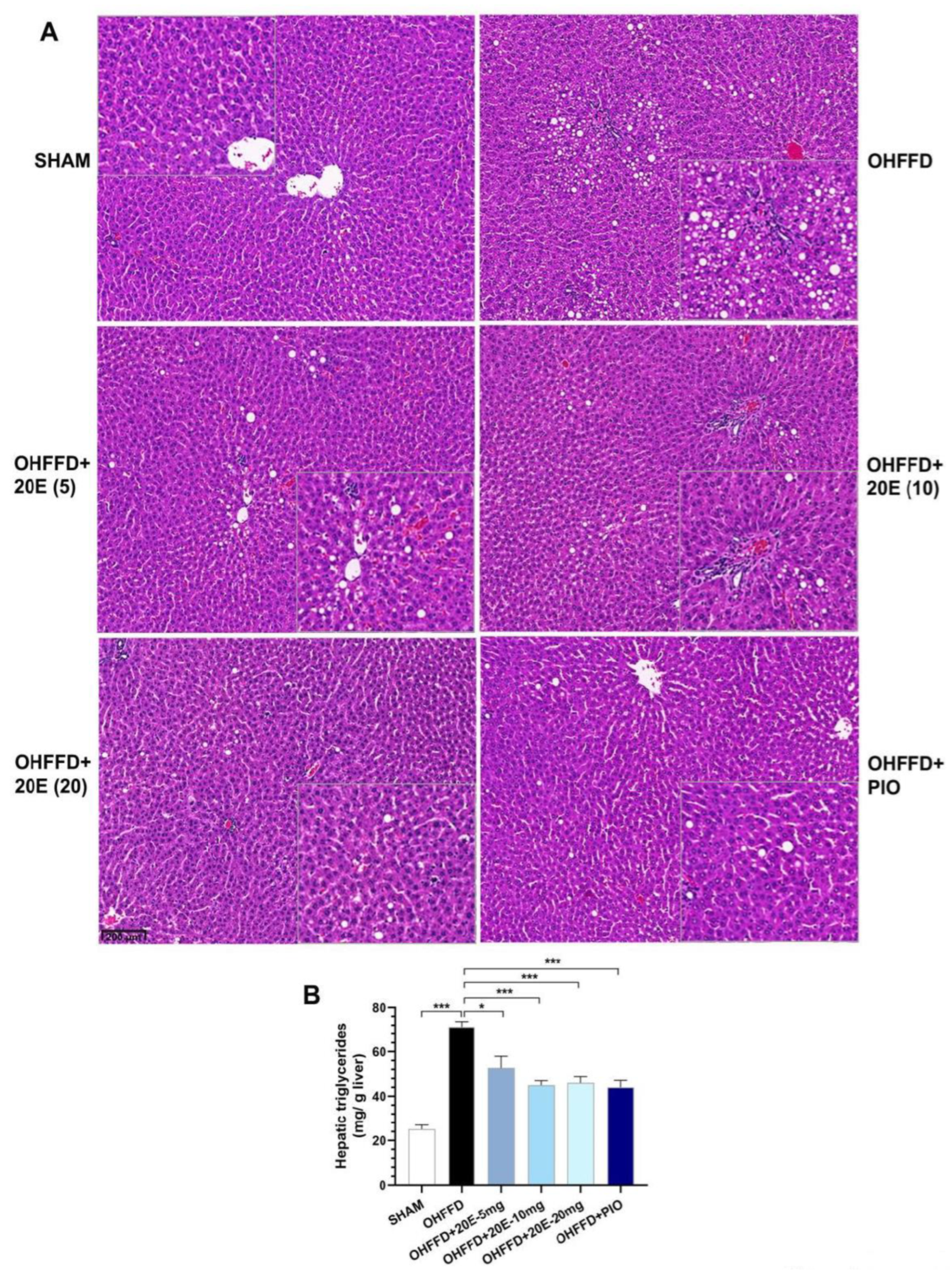 Biomedicines 11 02071 g002