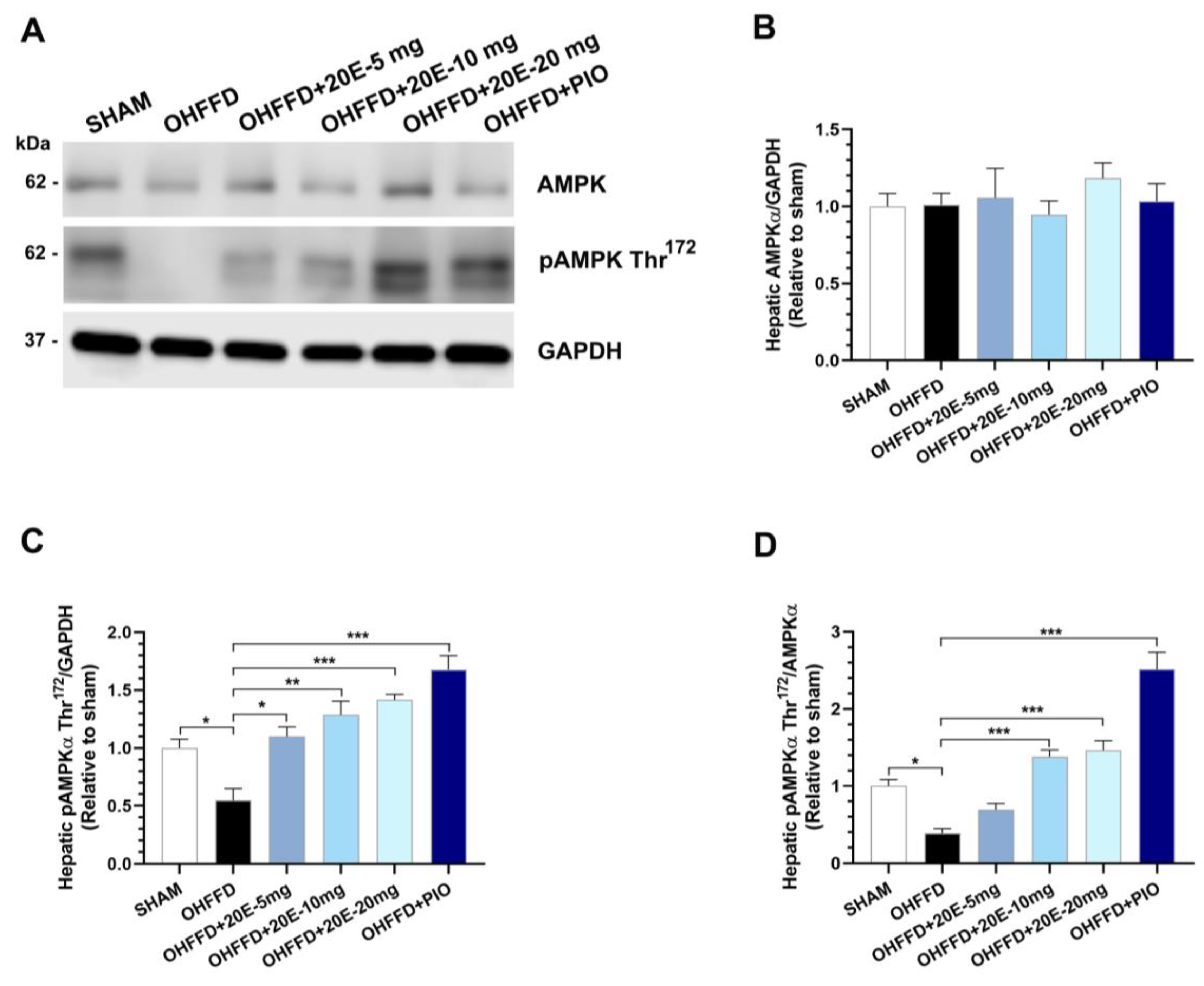 Biomedicines 11 02071 g003
