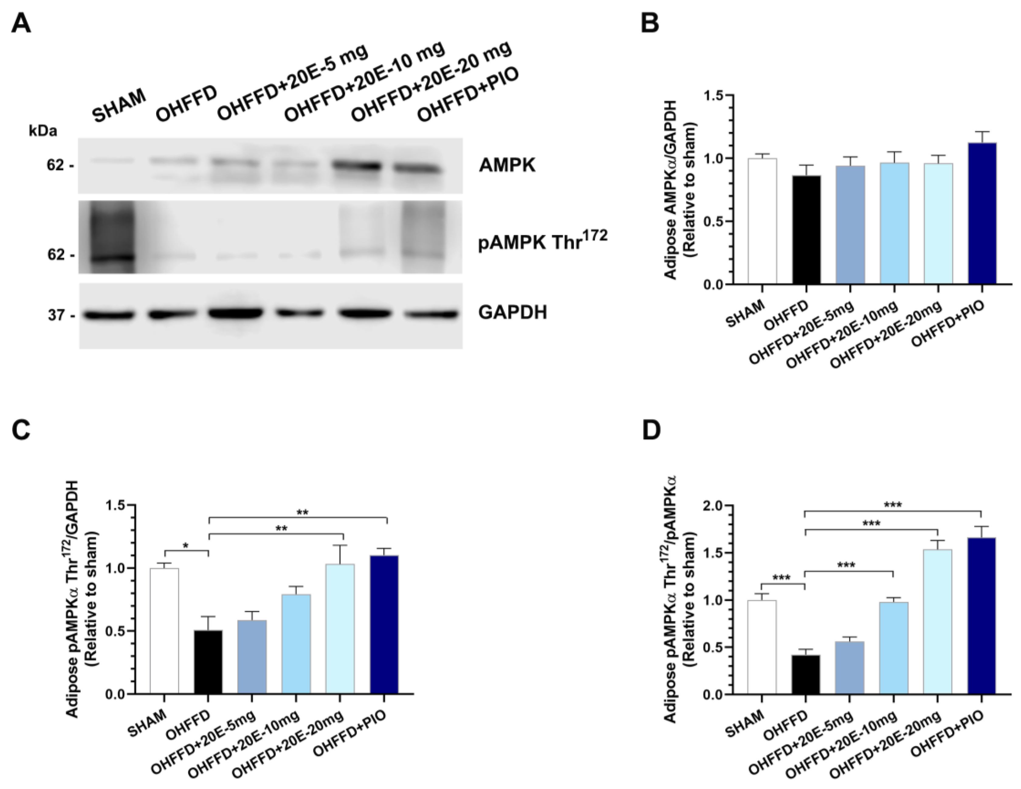 Biomedicines 11 02071 g005