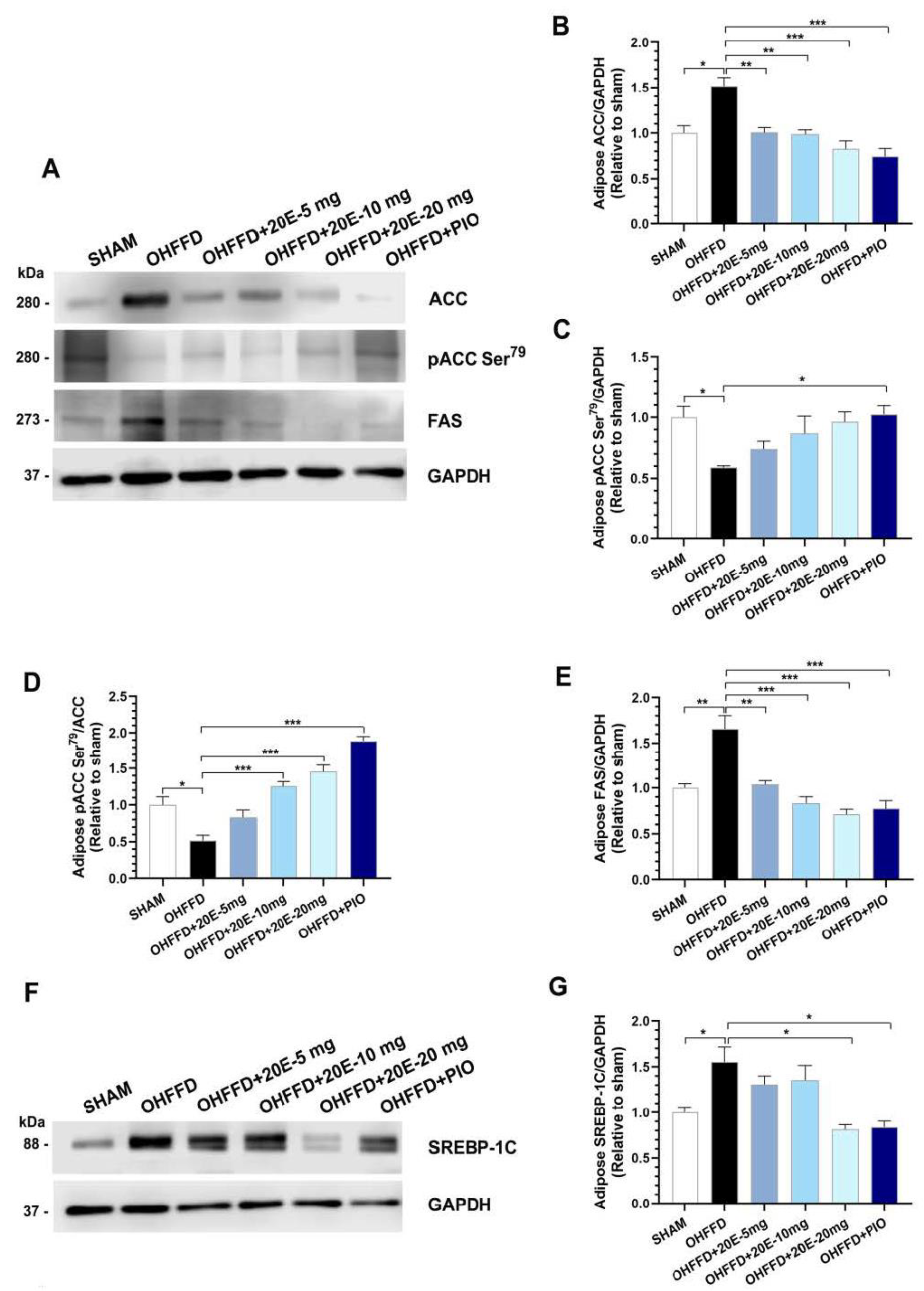Biomedicines 11 02071 g006