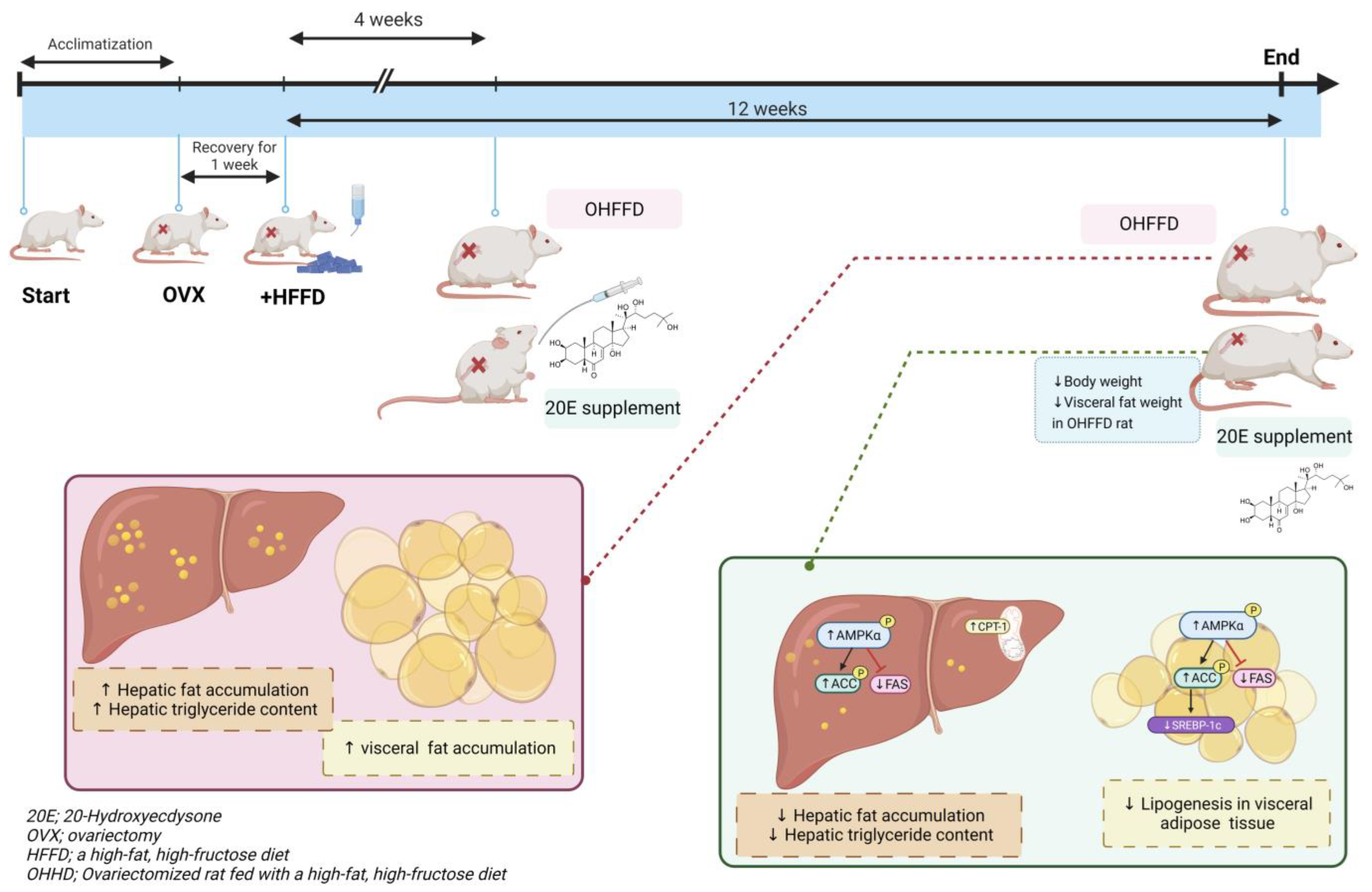 Biomedicines 11 02071 g007
