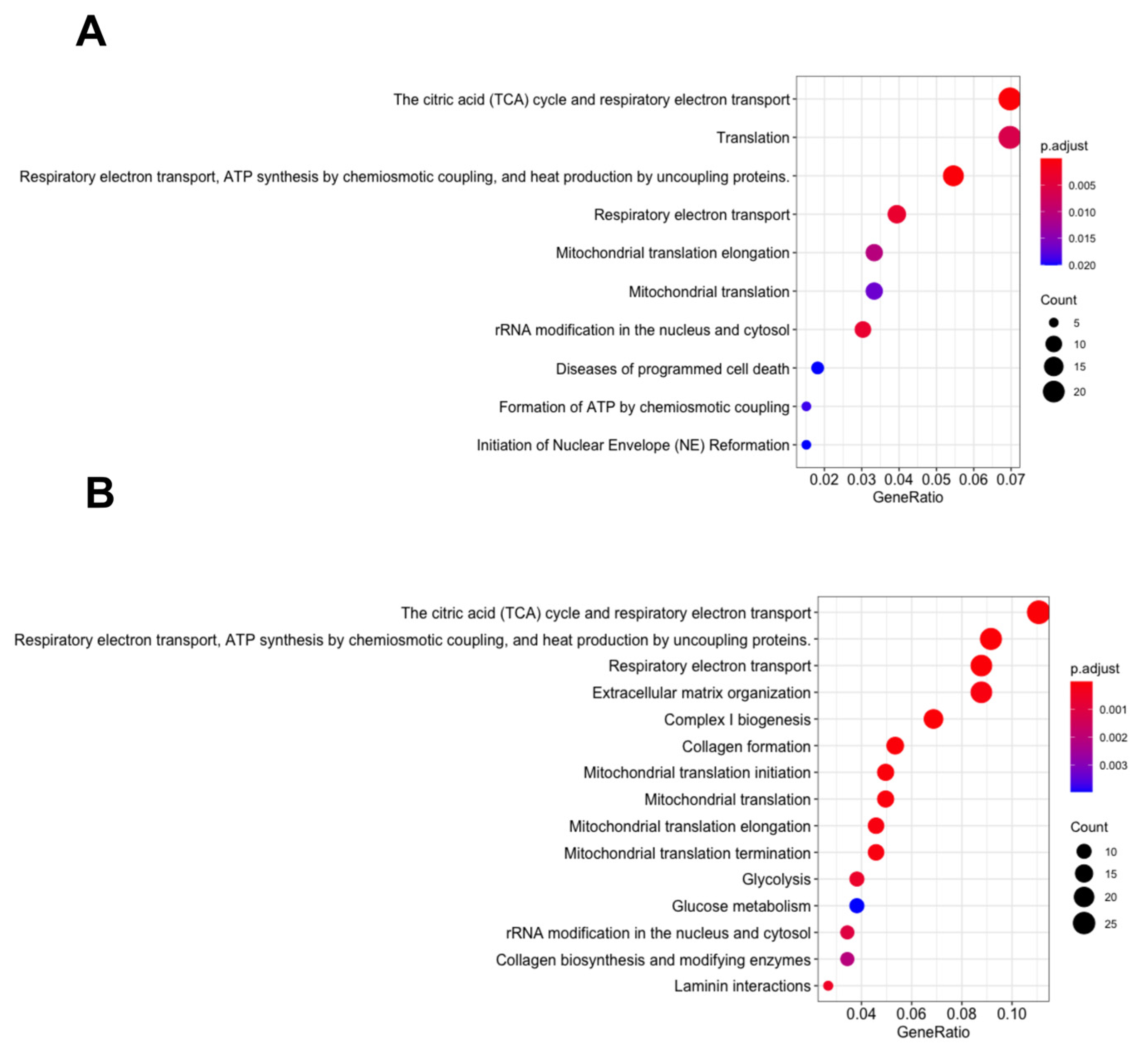 Biomedicines 11 02073 g001 Biomedicines 11 02073 g001