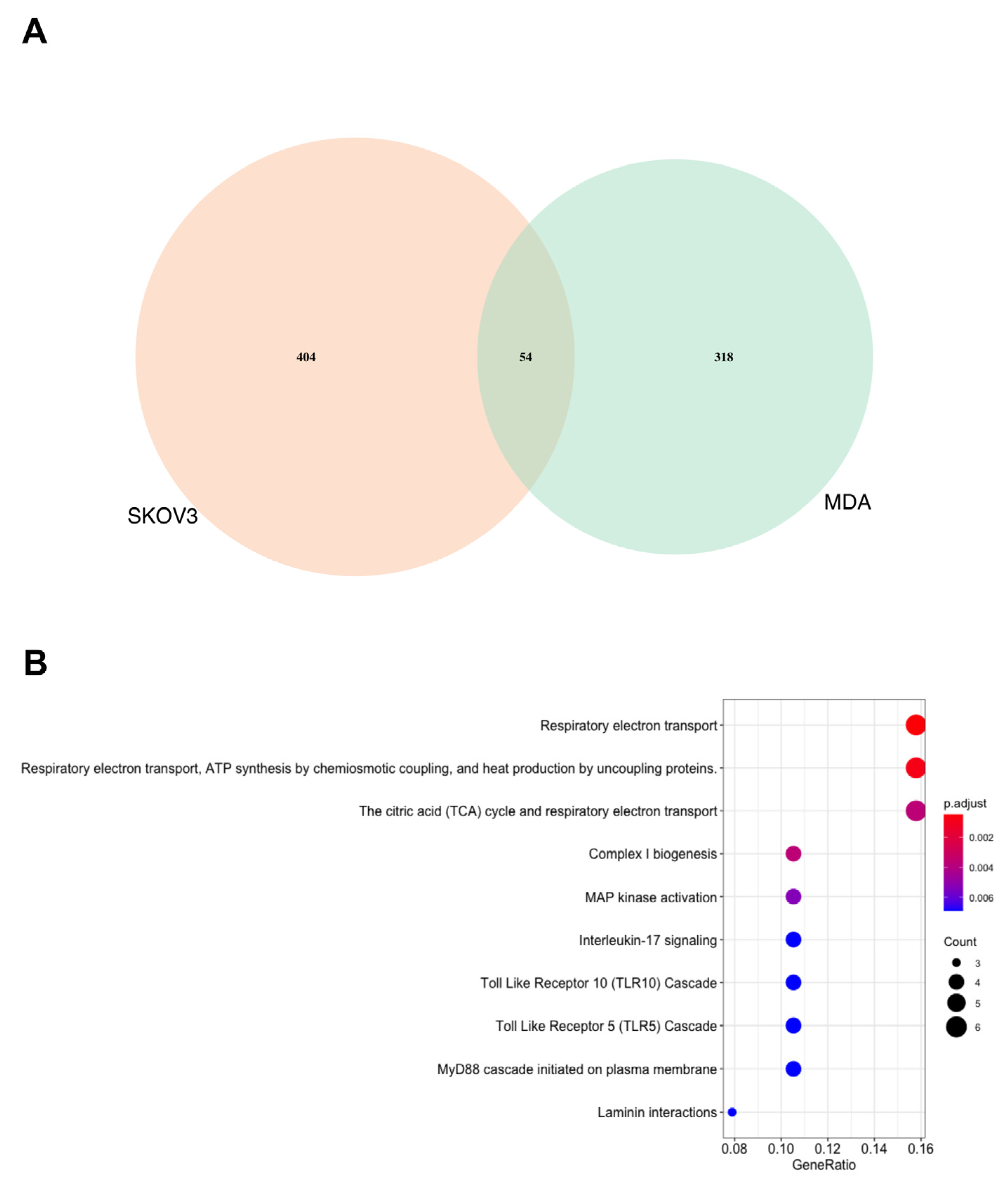 Biomedicines 11 02073 g002 Biomedicines 11 02073 g002
