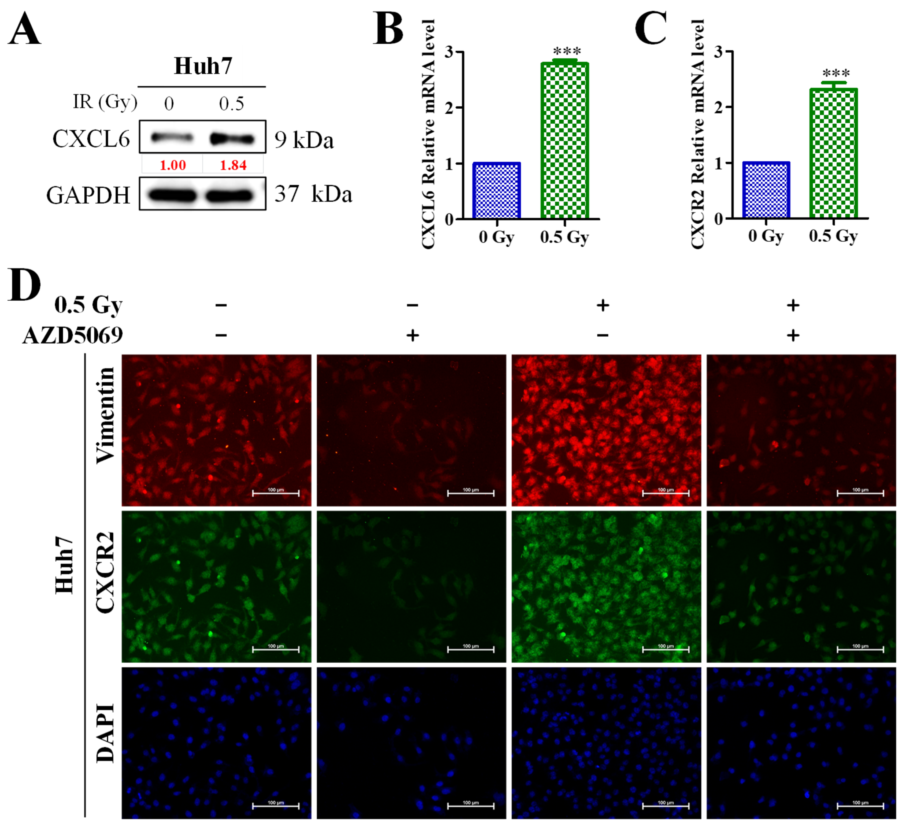 Biomedicines 11 02081 g005 Biomedicines 11 02081 g005