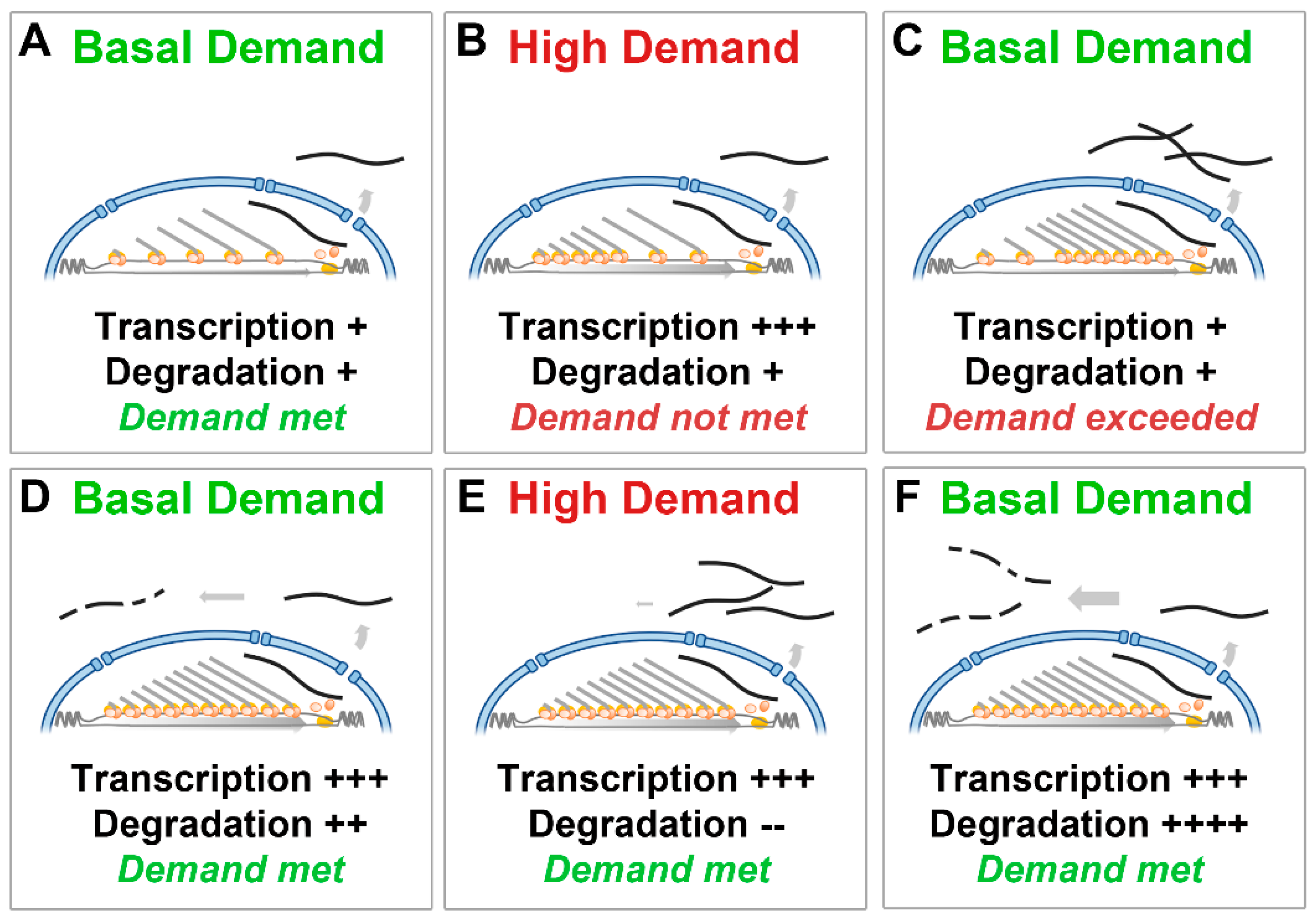 Biomedicines 11 02082 g004 Biomedicines 11 02082 g004