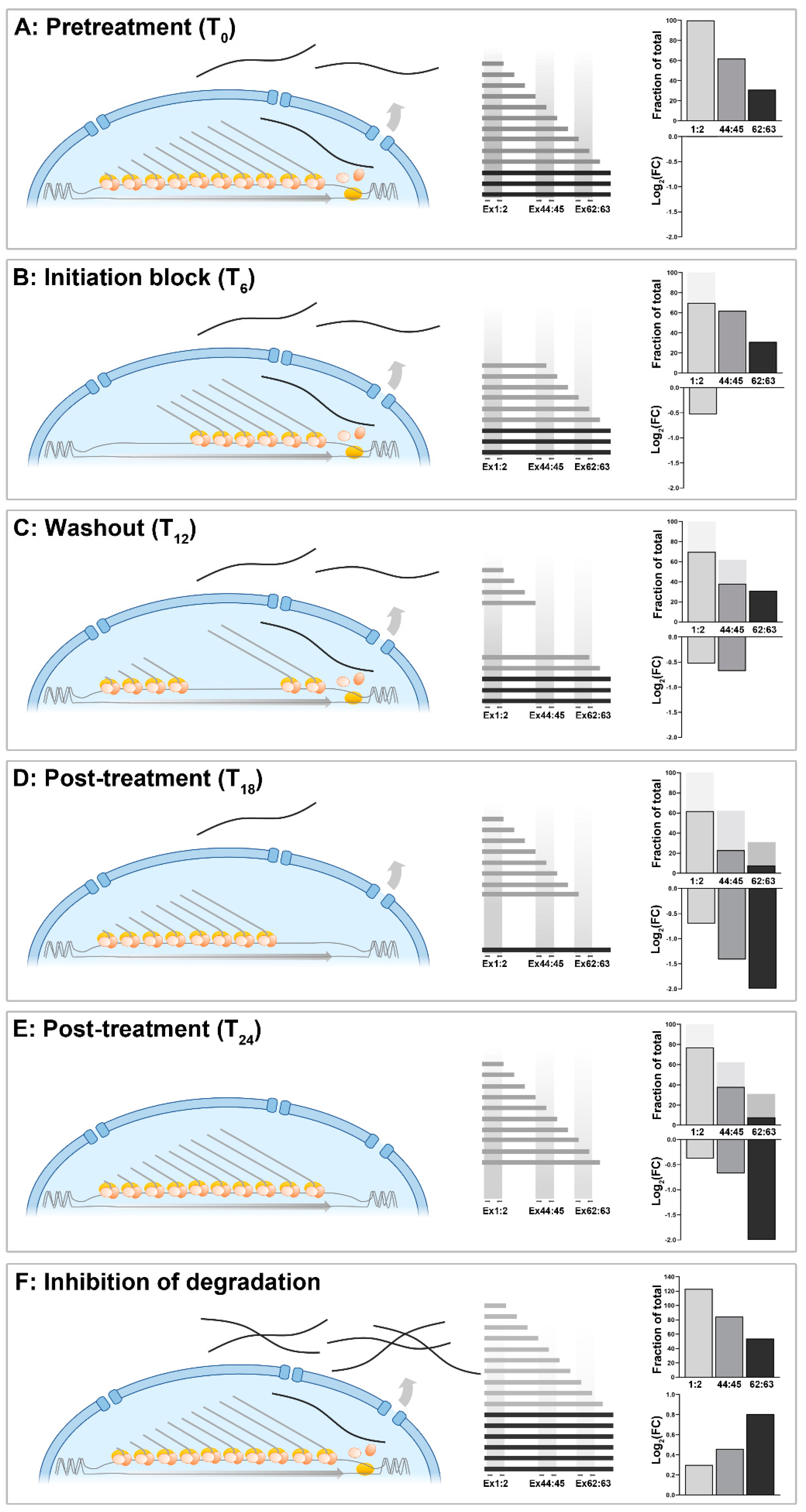 Biomedicines 11 02082 g006 Biomedicines 11 02082 g006