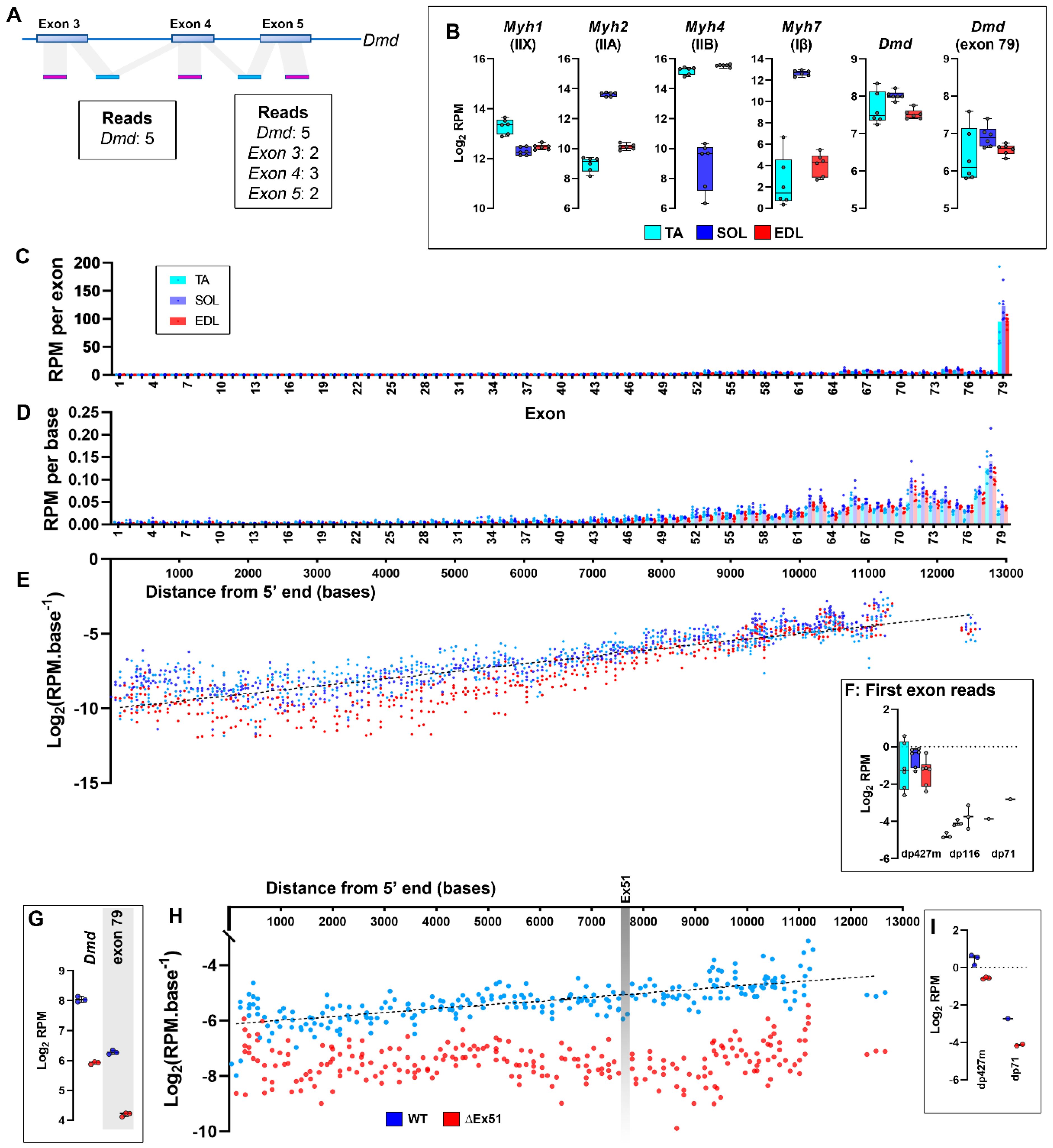 Biomedicines 11 02082 g008 Biomedicines 11 02082 g008