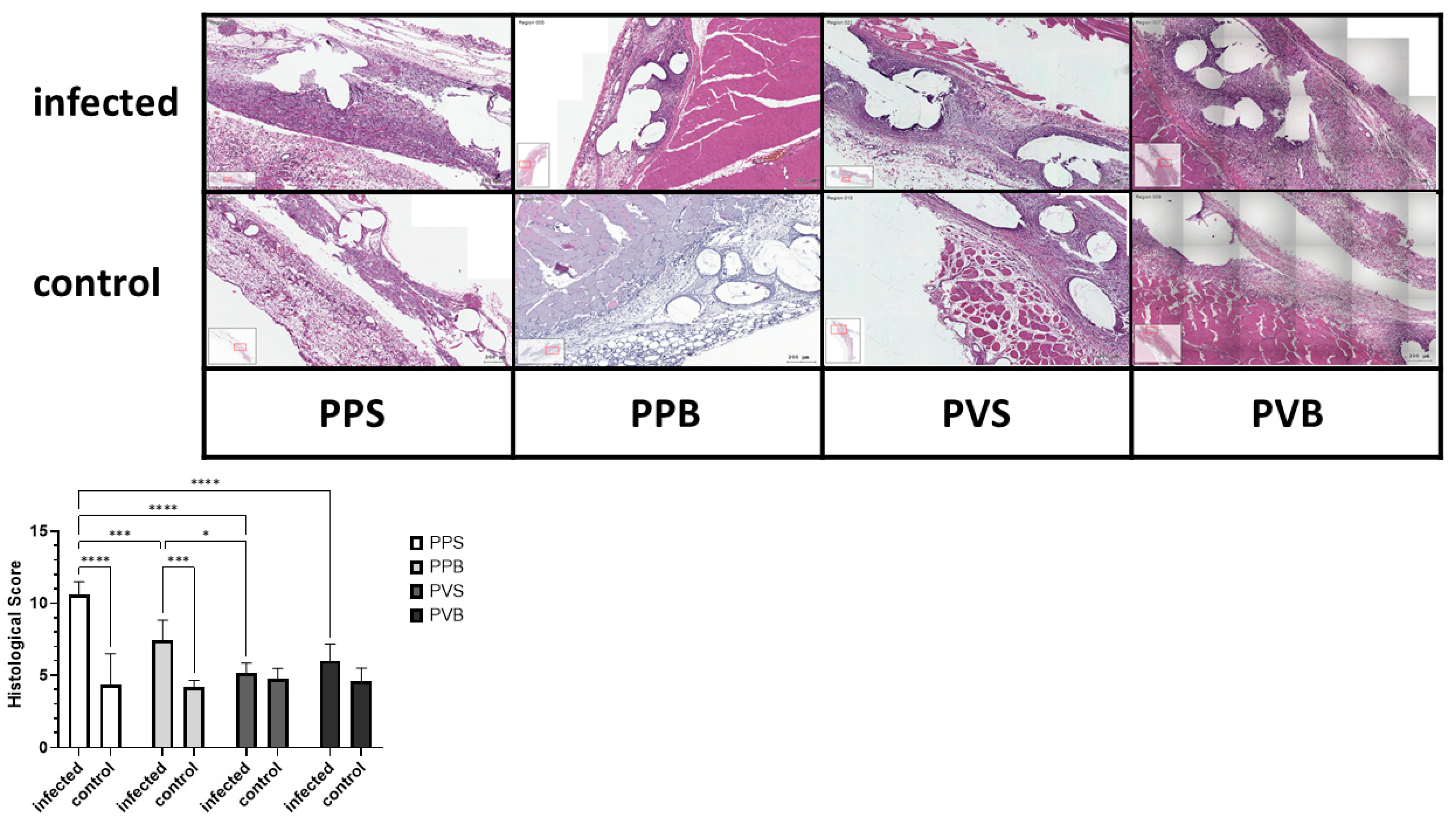 Biomedicines 11 02083 g002