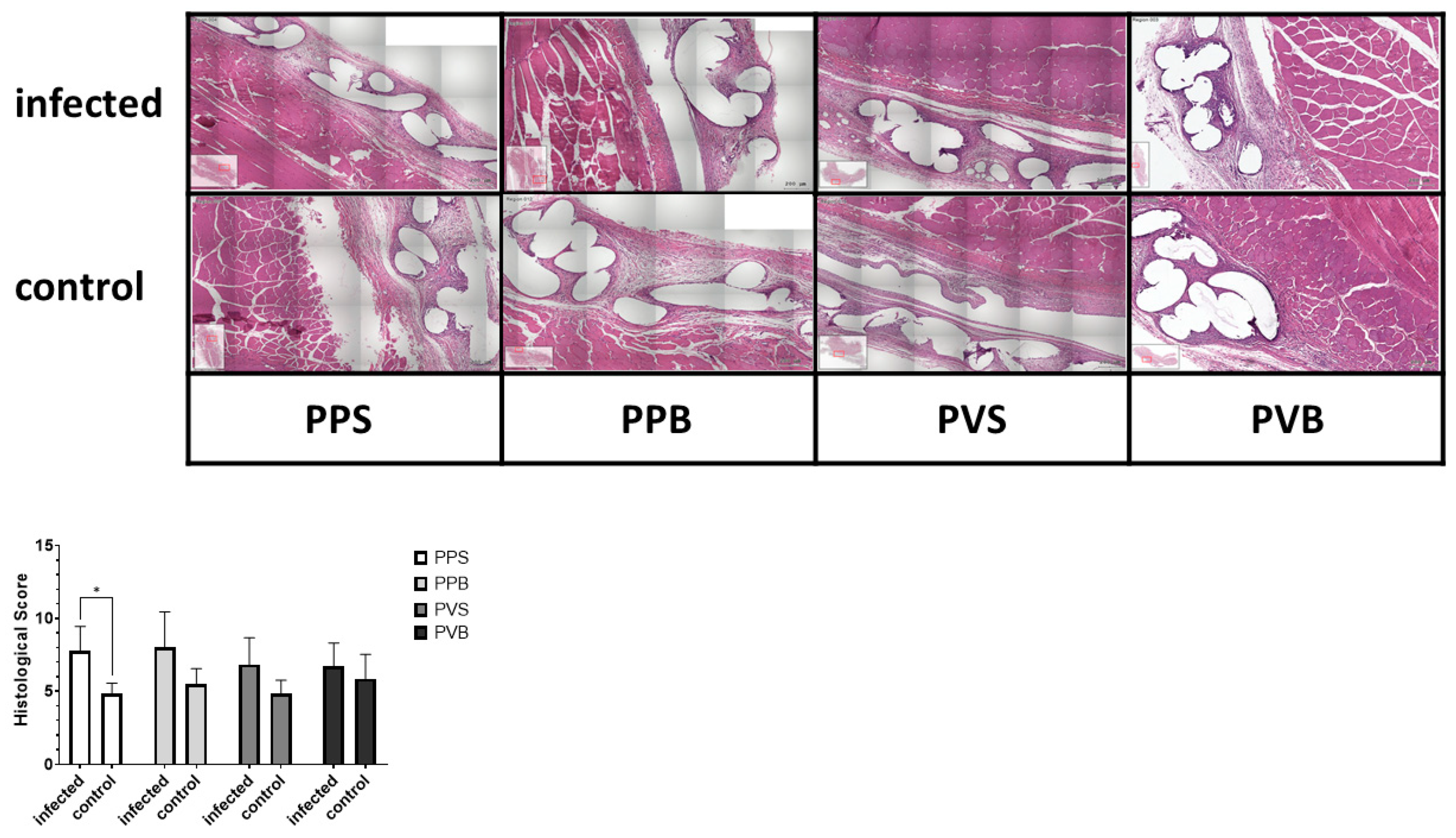 Biomedicines 11 02083 g003