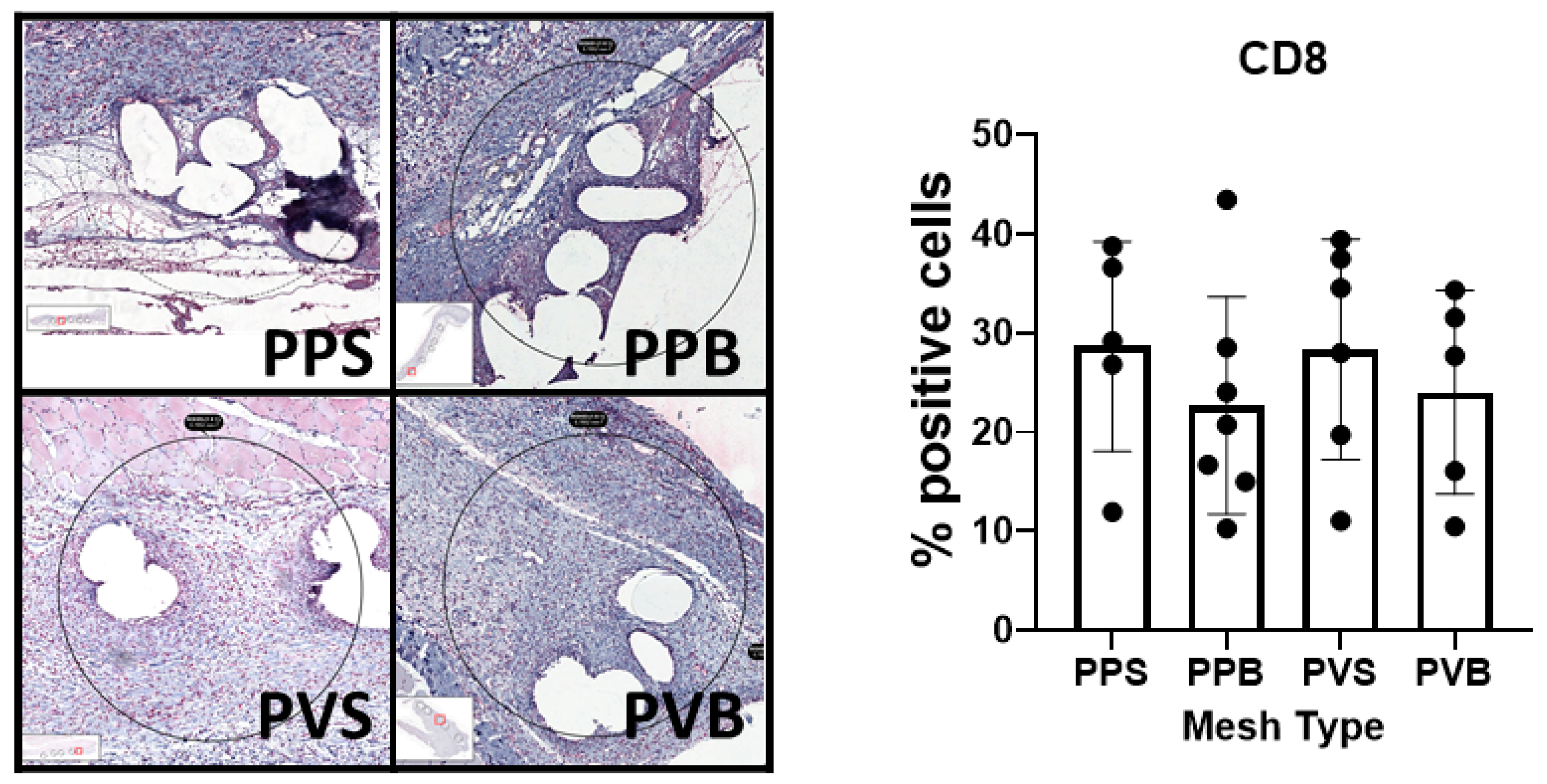 Biomedicines 11 02083 g006