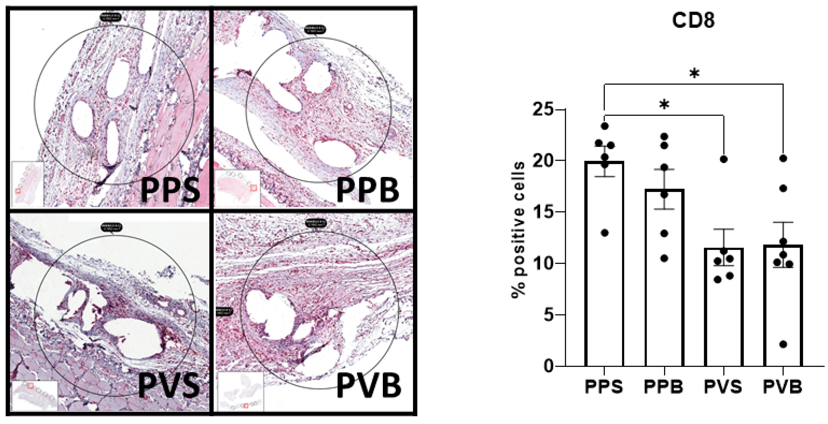 Biomedicines 11 02083 g007
