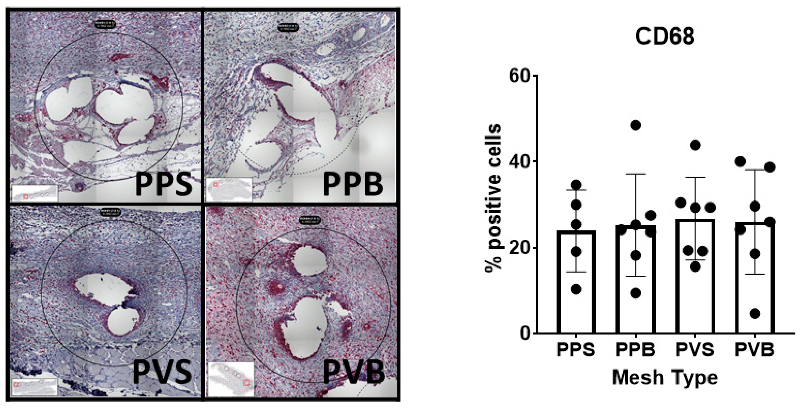 Biomedicines 11 02083 g008