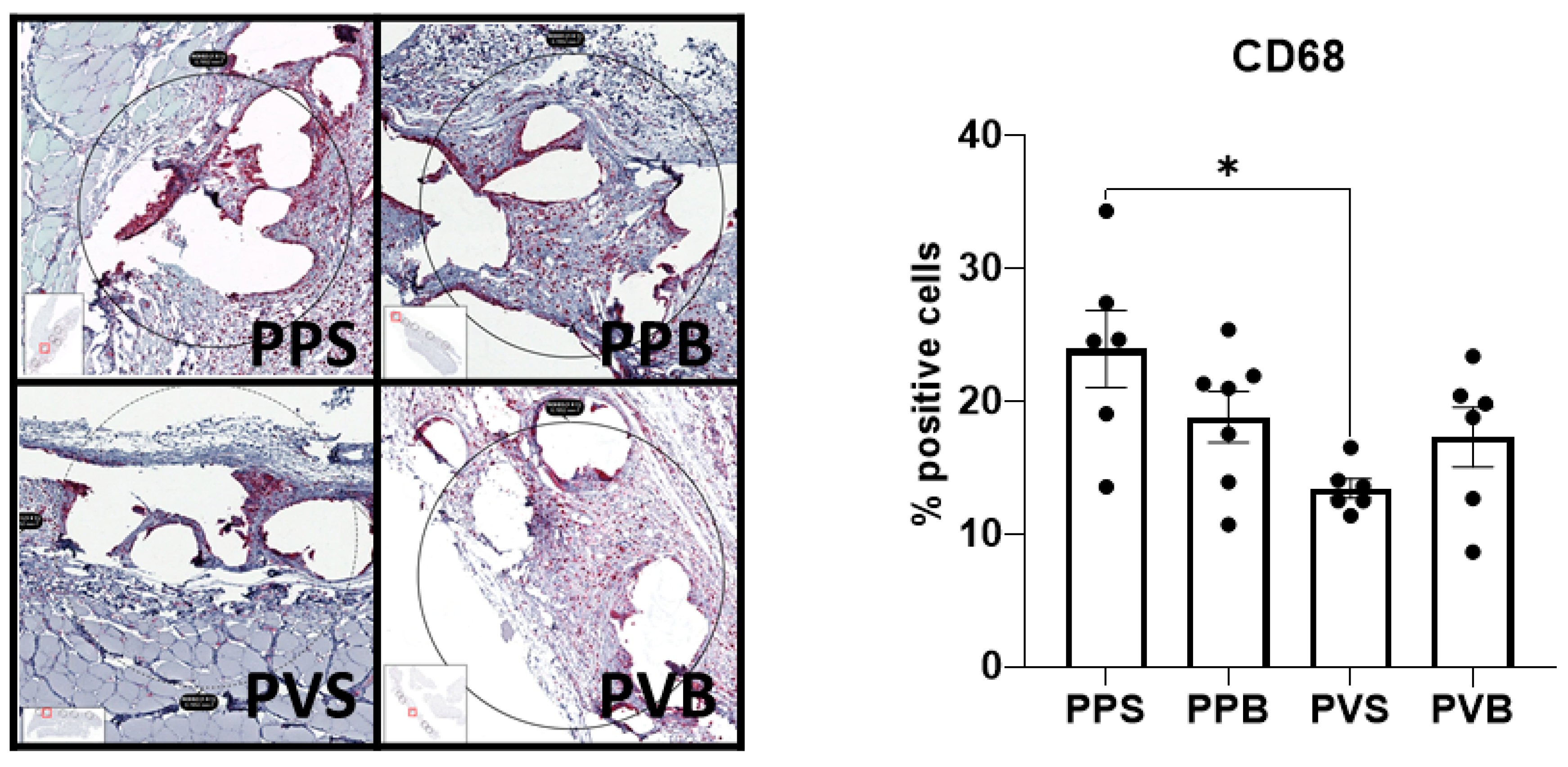 Biomedicines 11 02083 g009