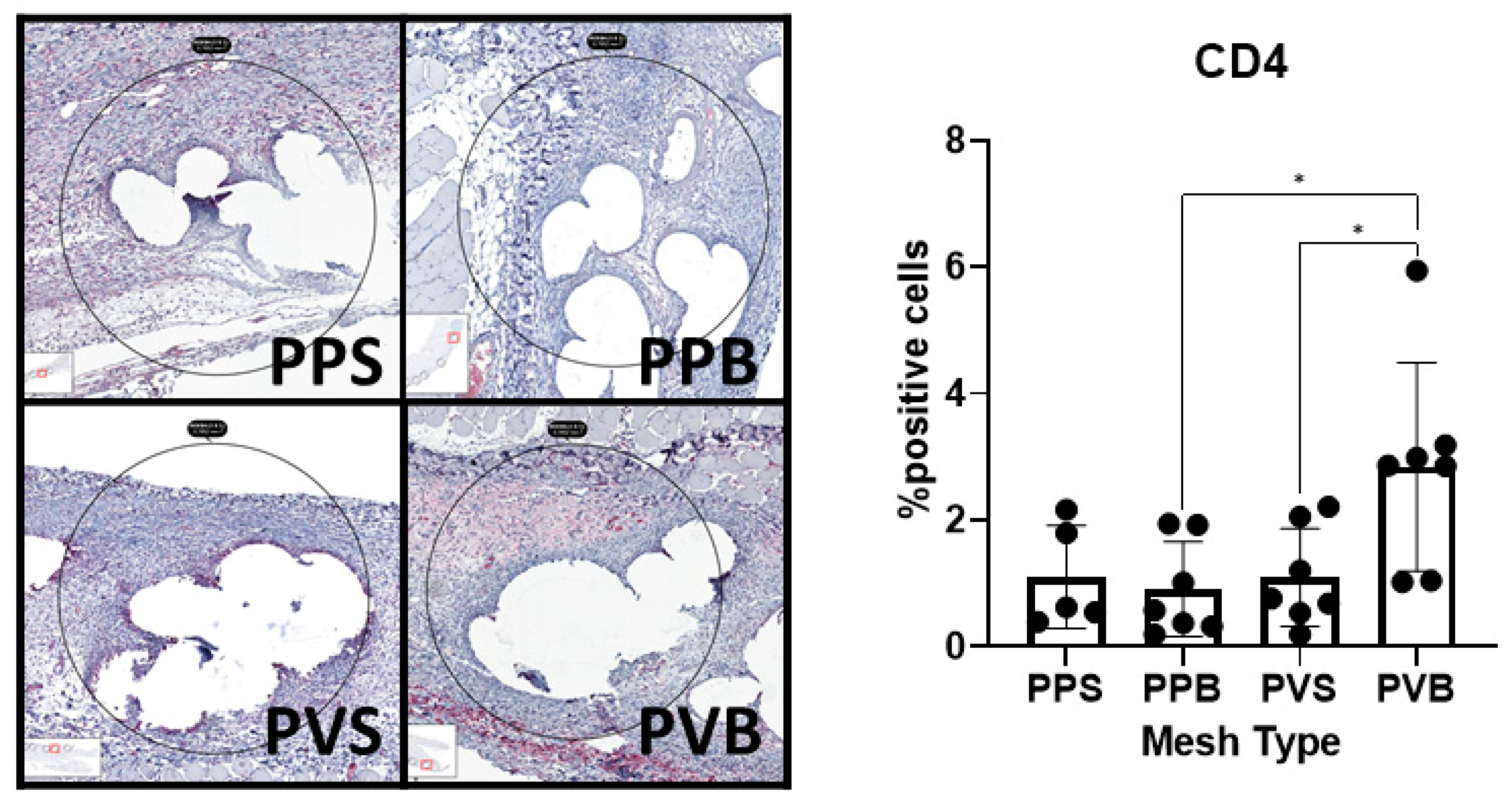 Biomedicines 11 02083 g010