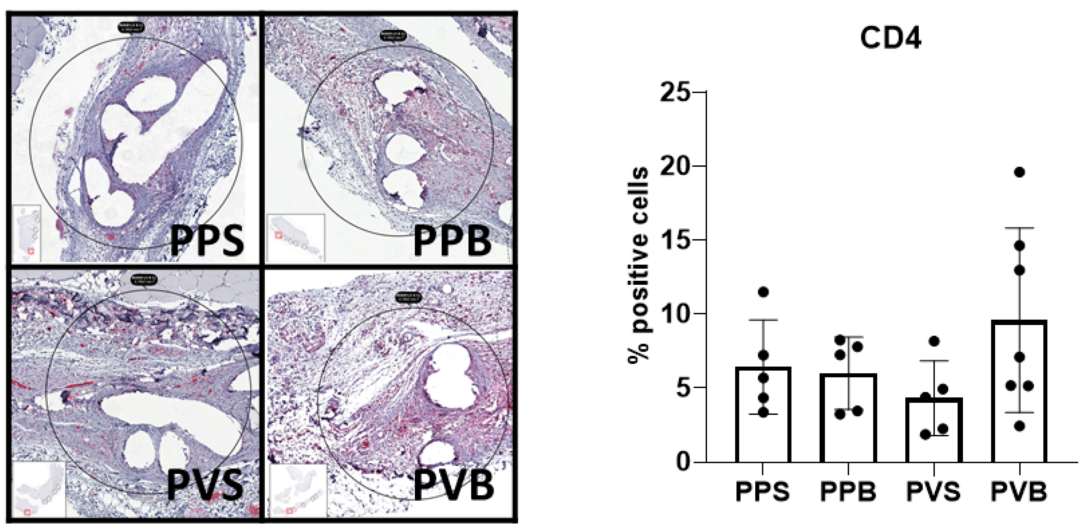 Biomedicines 11 02083 g011