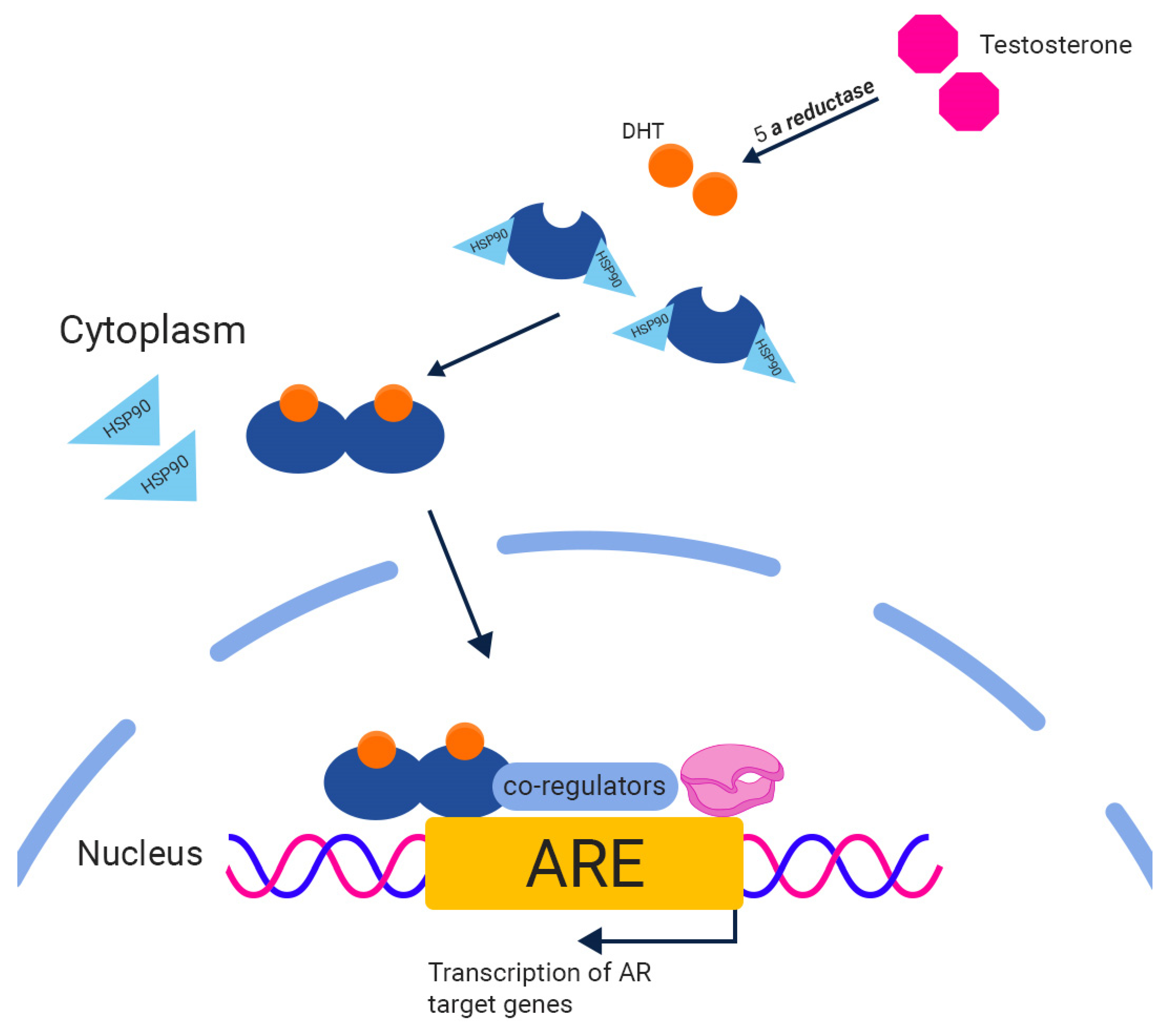 Biomedicines 11 02084 g001 Biomedicines 11 02084 g001