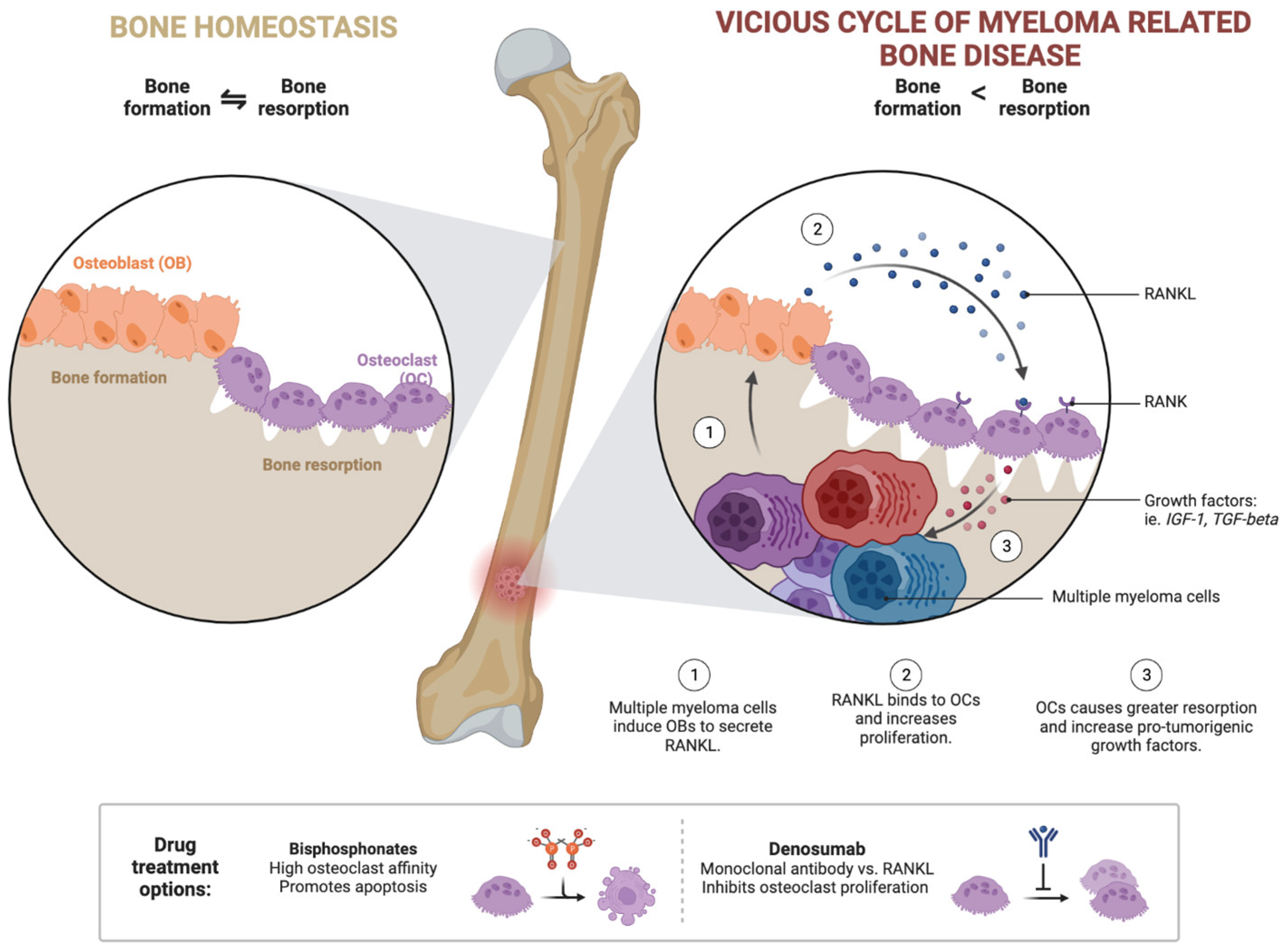 Biomedicines 11 02087 g002 Biomedicines 11 02087 g002
