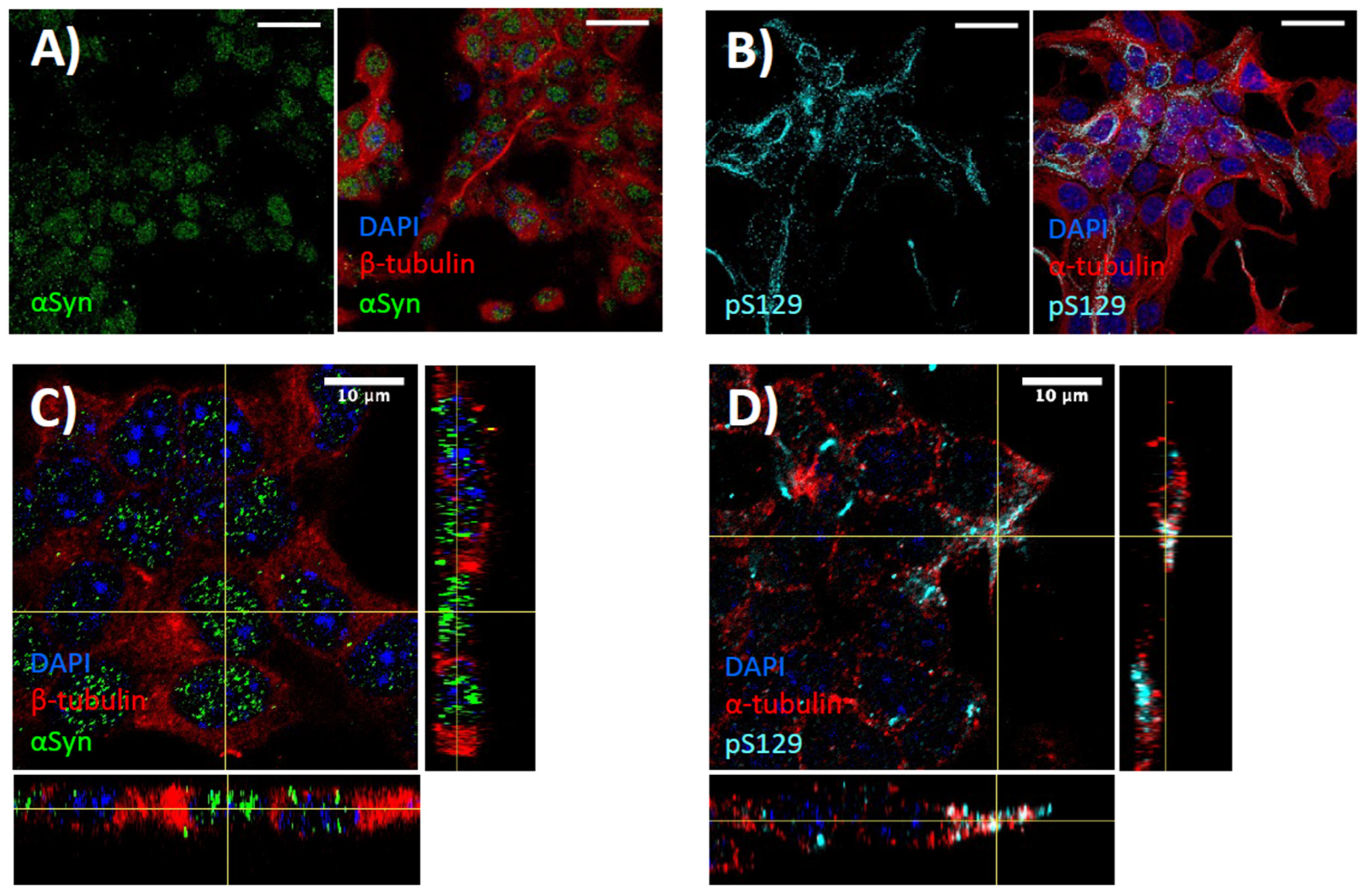 Biomedicines 11 02089 g001 Biomedicines 11 02089 g001