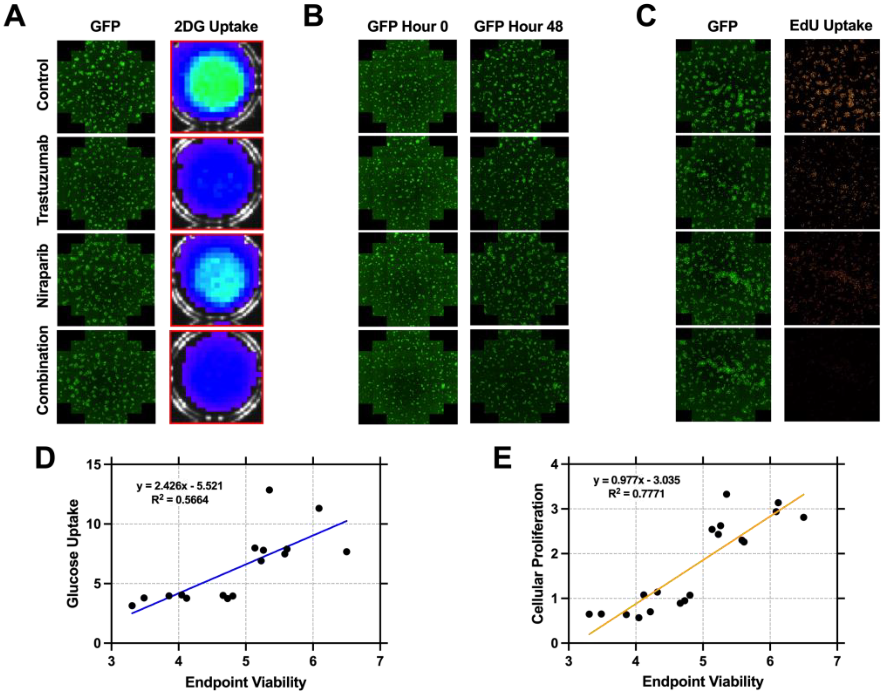 Biomedicines 11 02090 g002 Biomedicines 11 02090 g002
