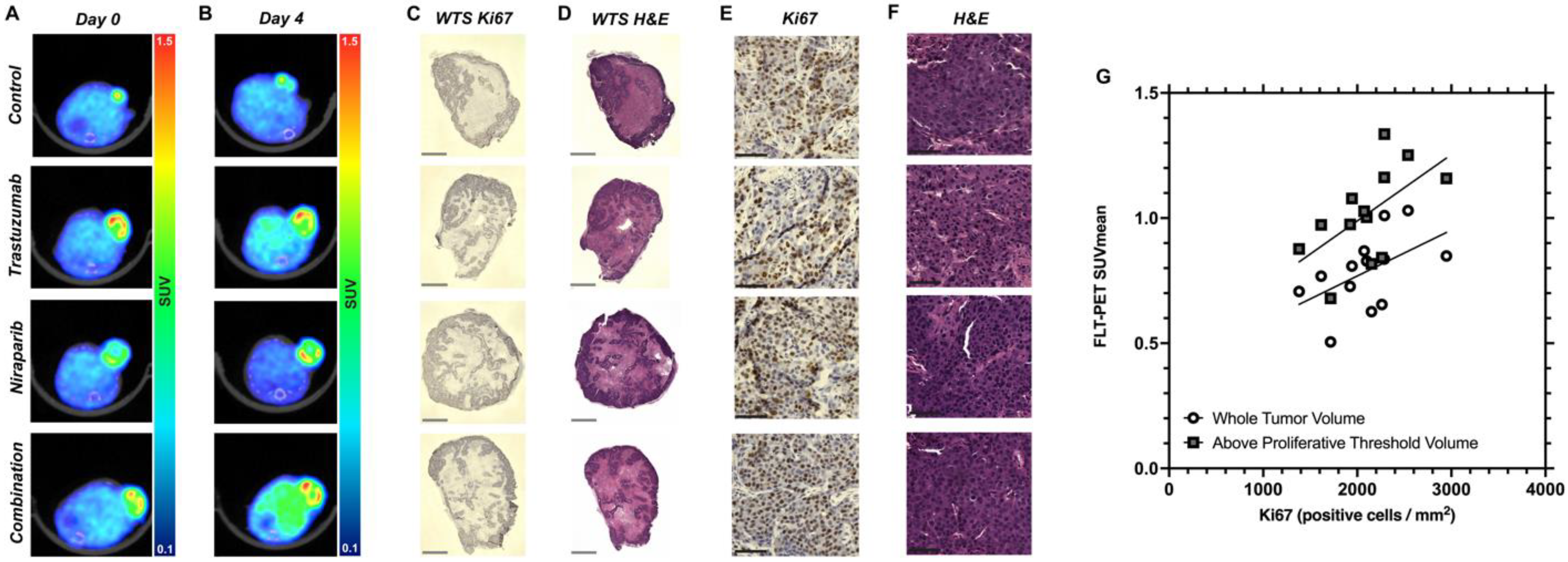Biomedicines 11 02090 g005 Biomedicines 11 02090 g005