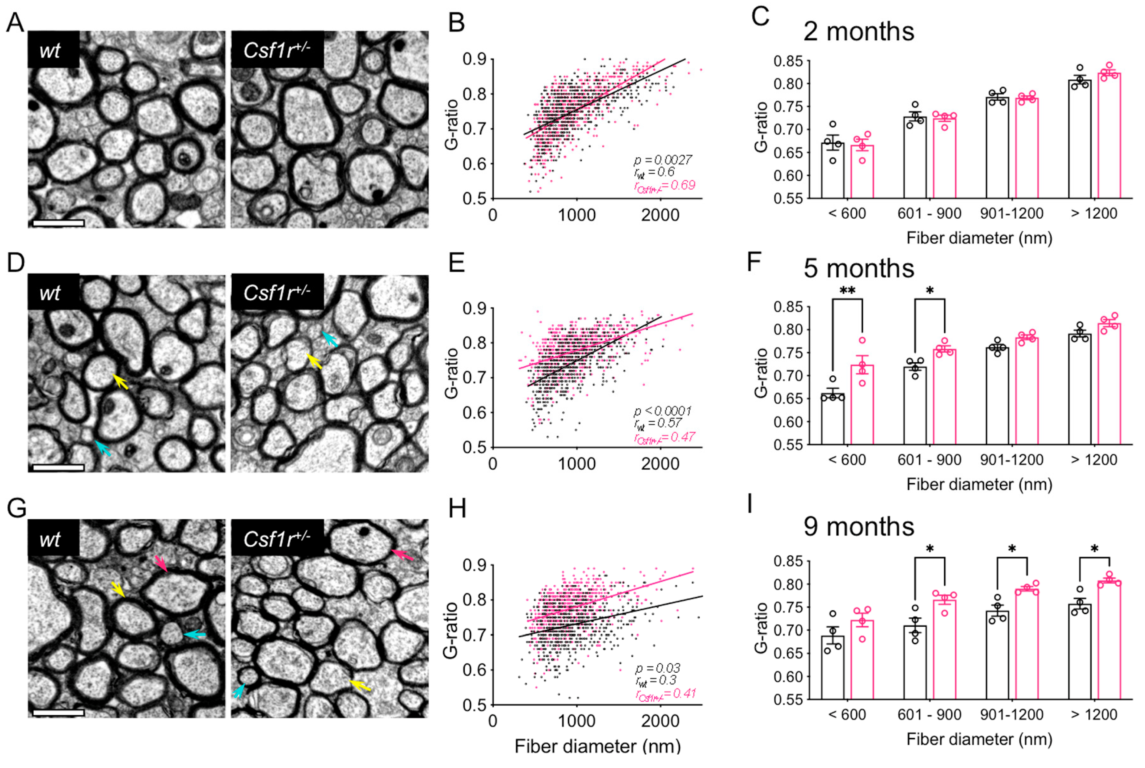 Biomedicines 11 02094 g001 Biomedicines 11 02094 g001
