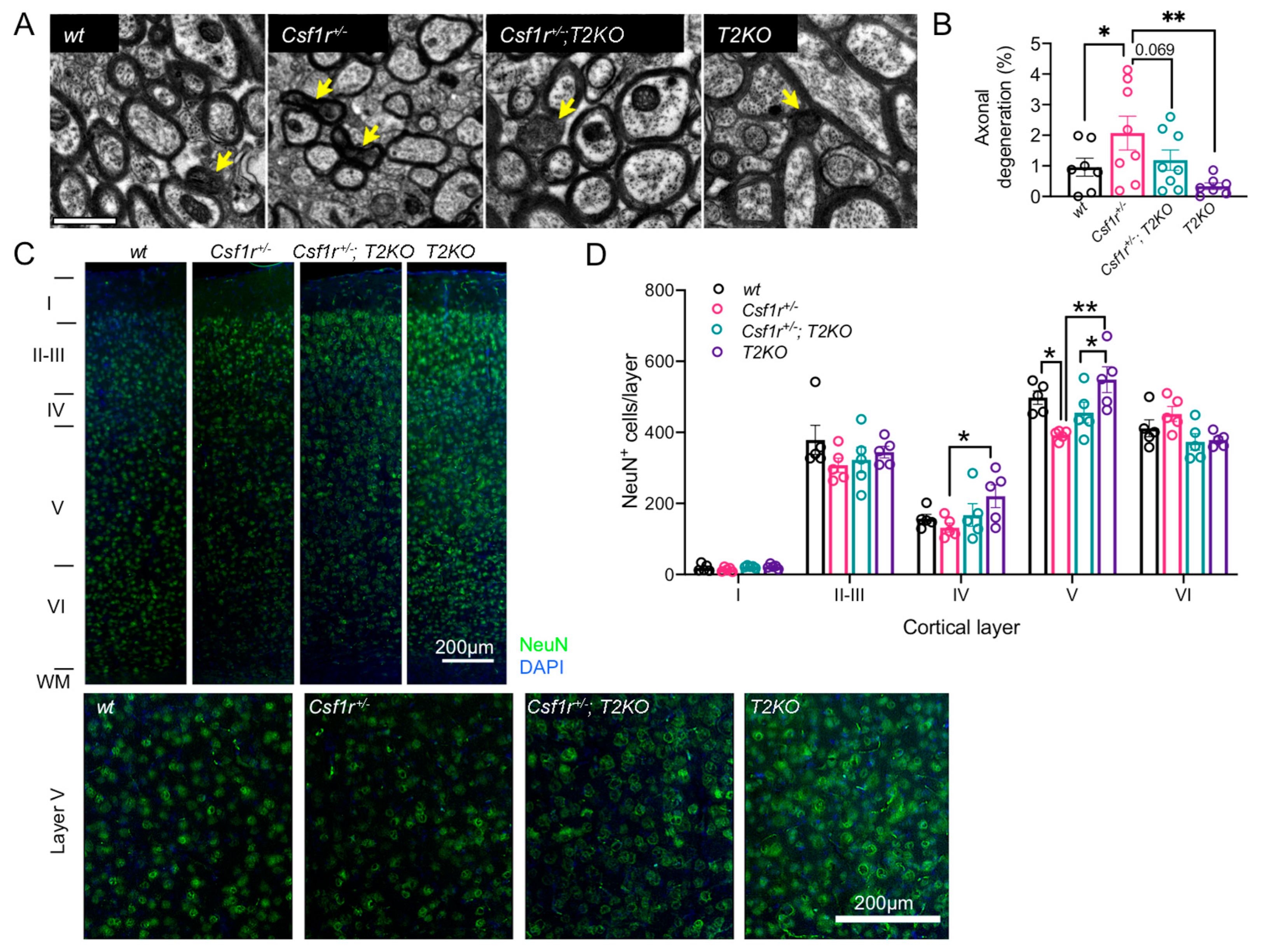 Biomedicines 11 02094 g004 Biomedicines 11 02094 g004