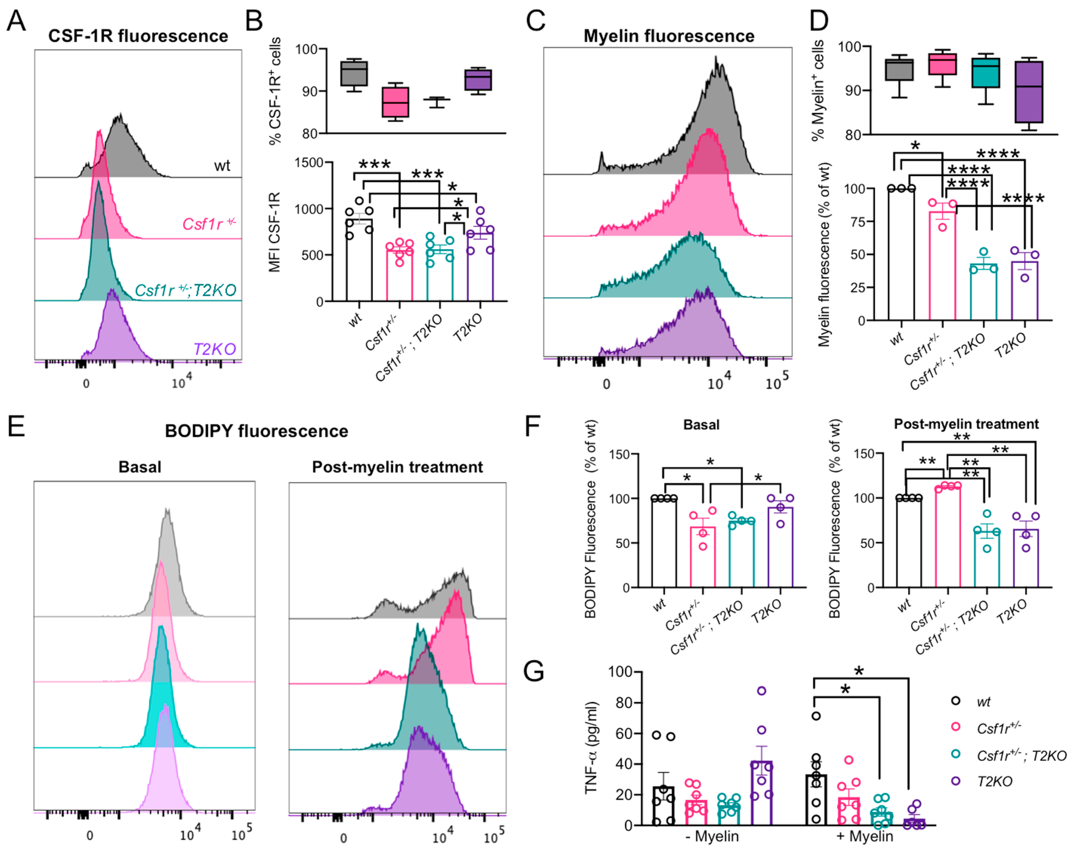Biomedicines 11 02094 g006 Biomedicines 11 02094 g006
