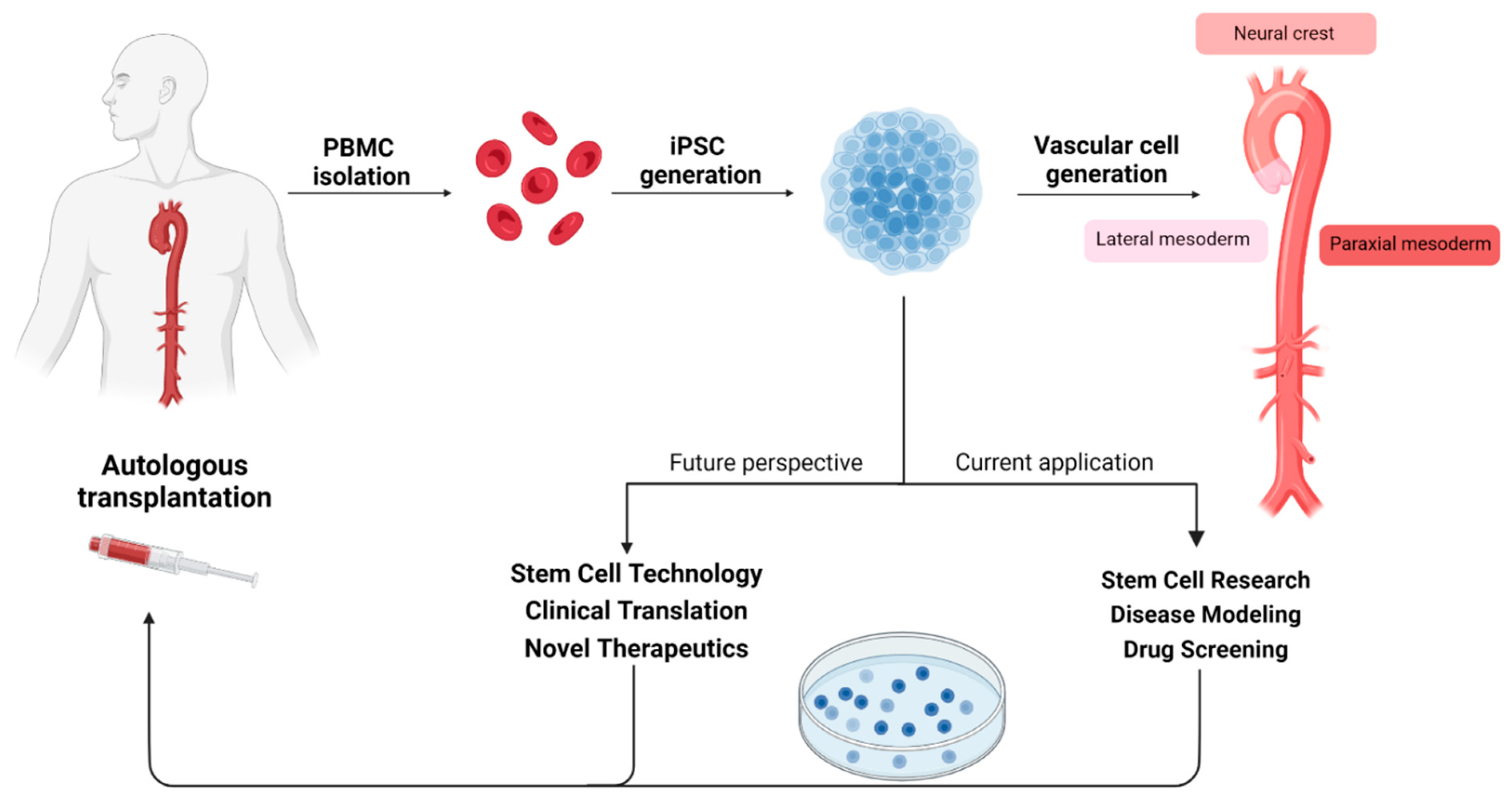 Biomedicines 11 02095 g005 Biomedicines 11 02095 g005