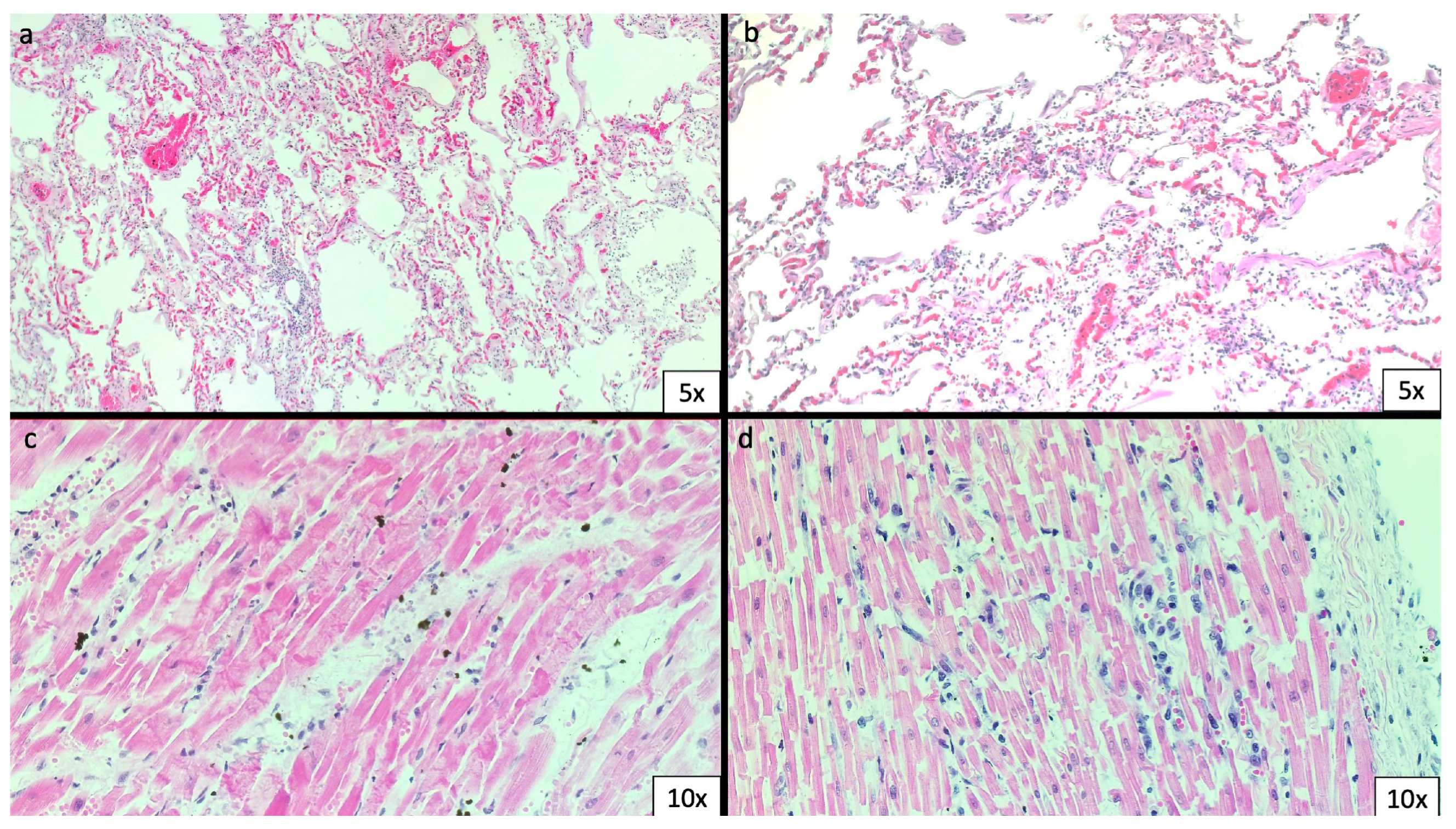 Biomedicines 11 02101 g002 Biomedicines 11 02101 g002