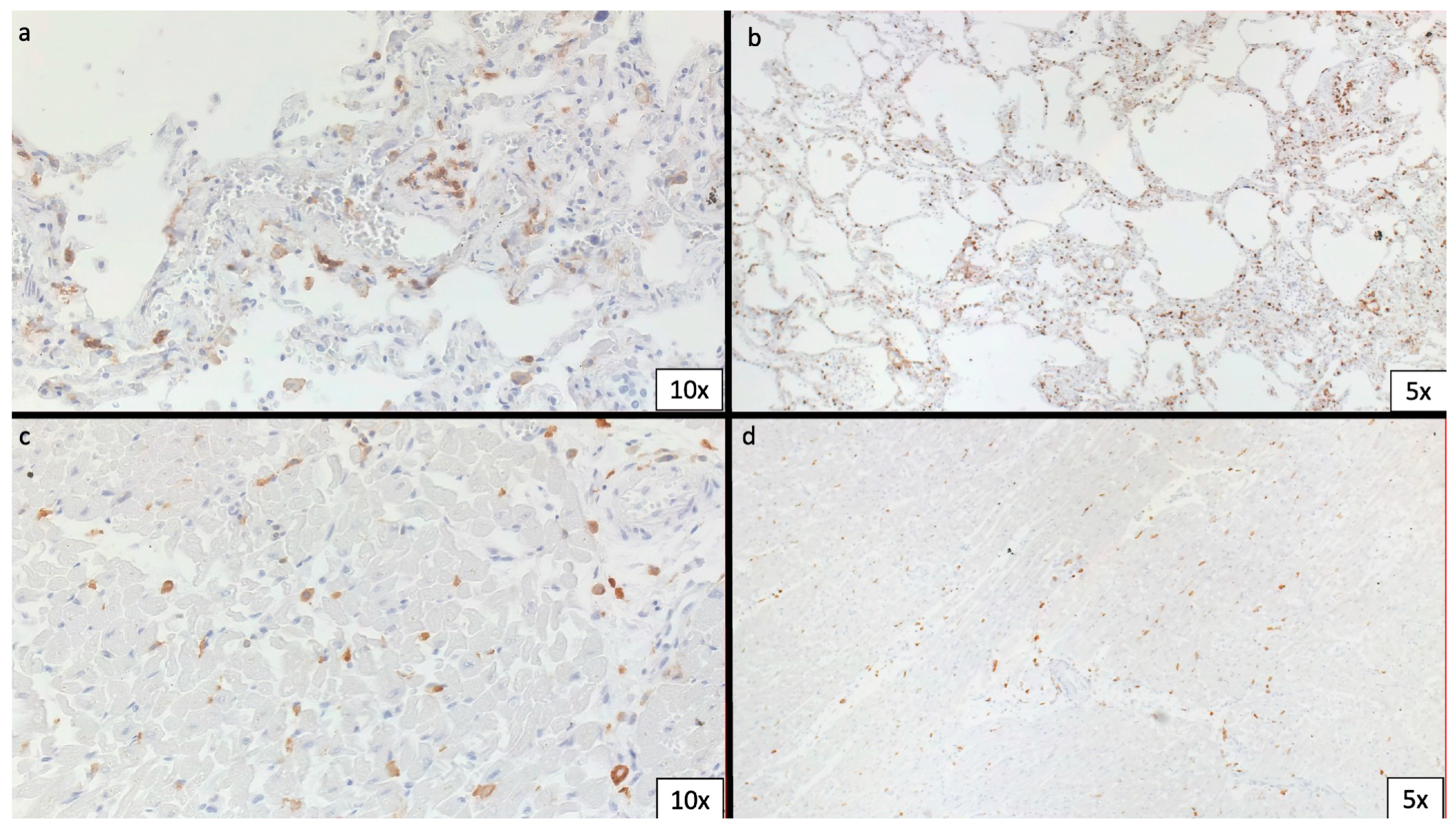 Biomedicines 11 02101 g003 Biomedicines 11 02101 g003