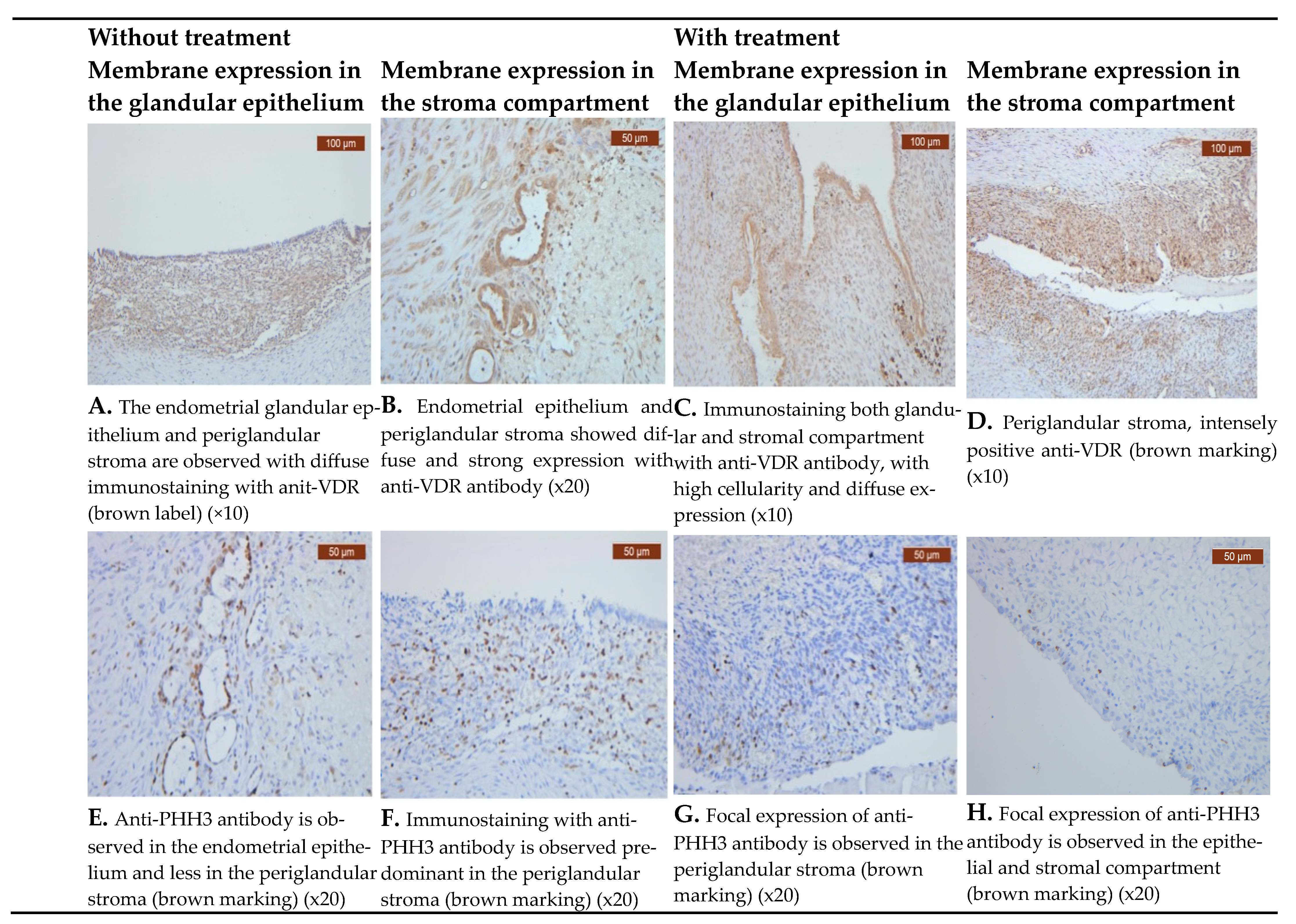 Biomedicines 11 02102 g001