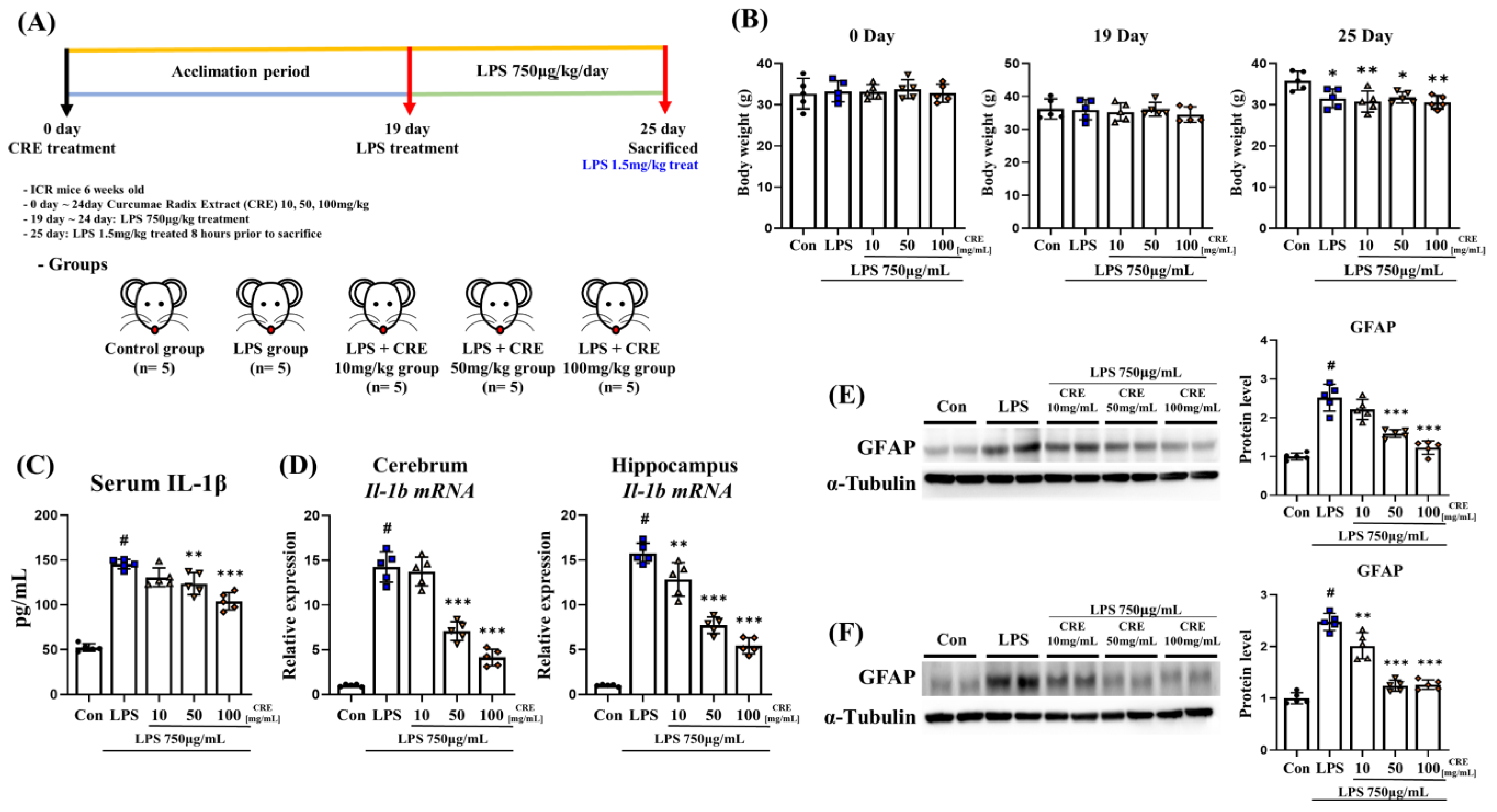 Biomedicines 11 02107 g001