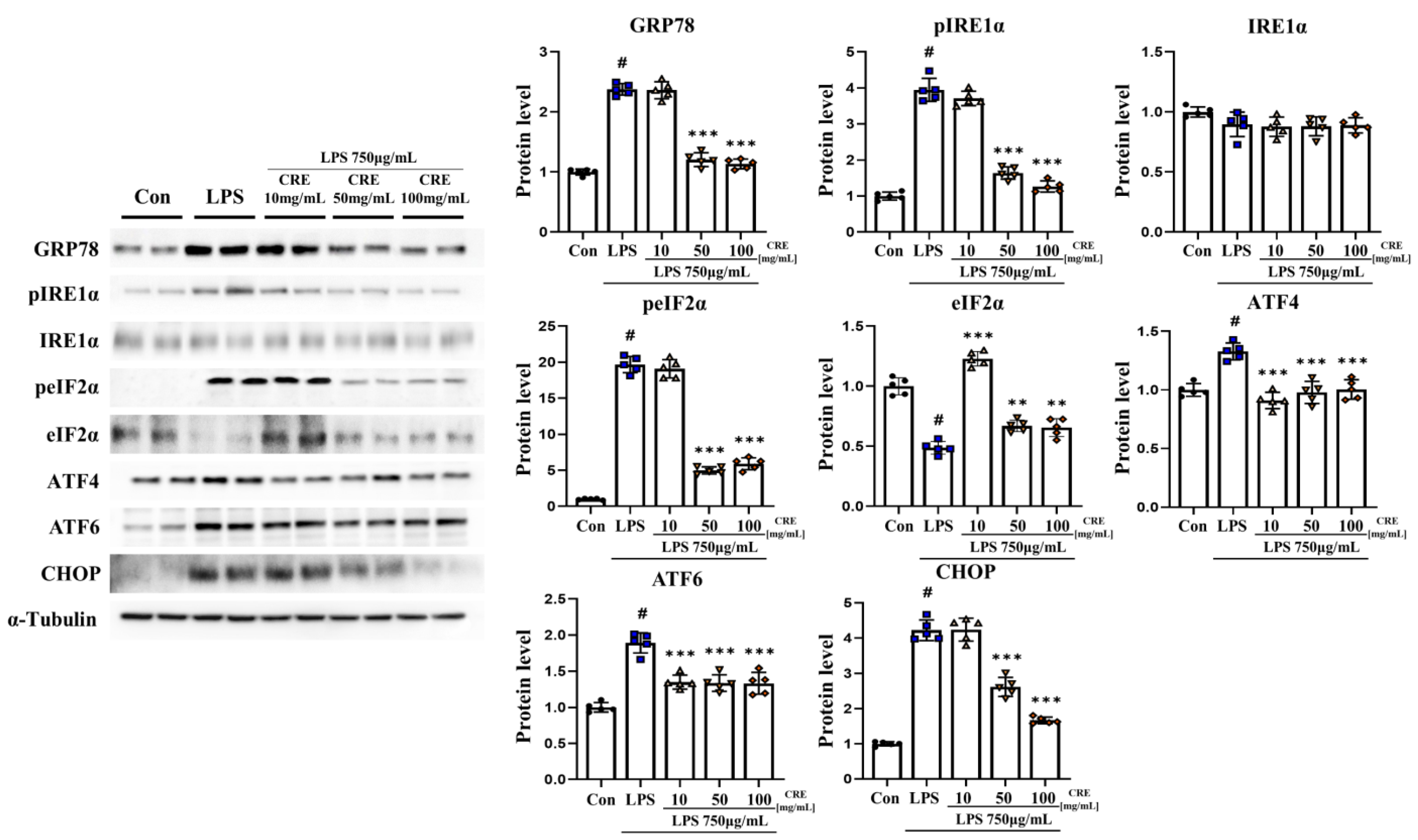 Biomedicines 11 02107 g002