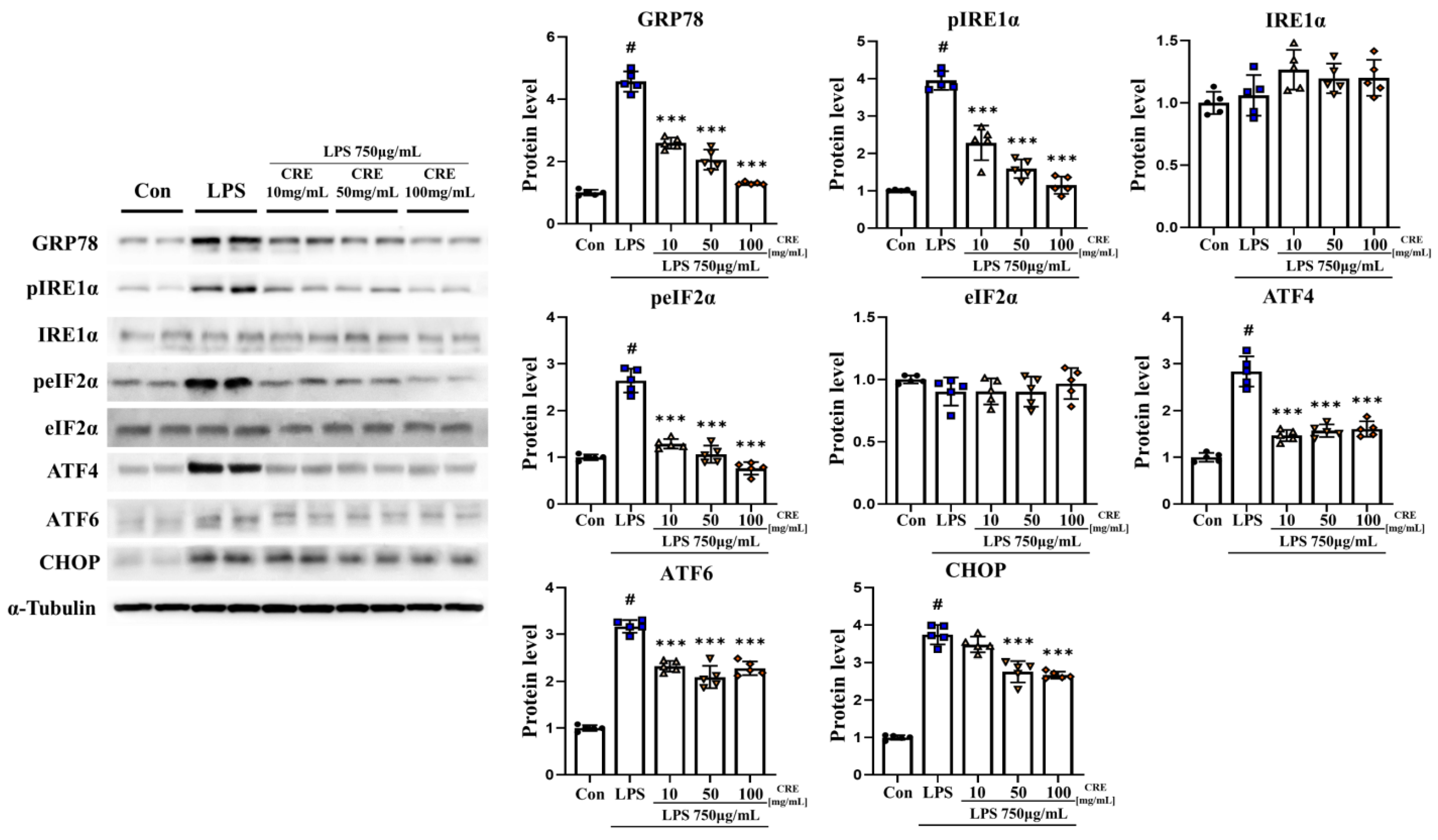Biomedicines 11 02107 g003