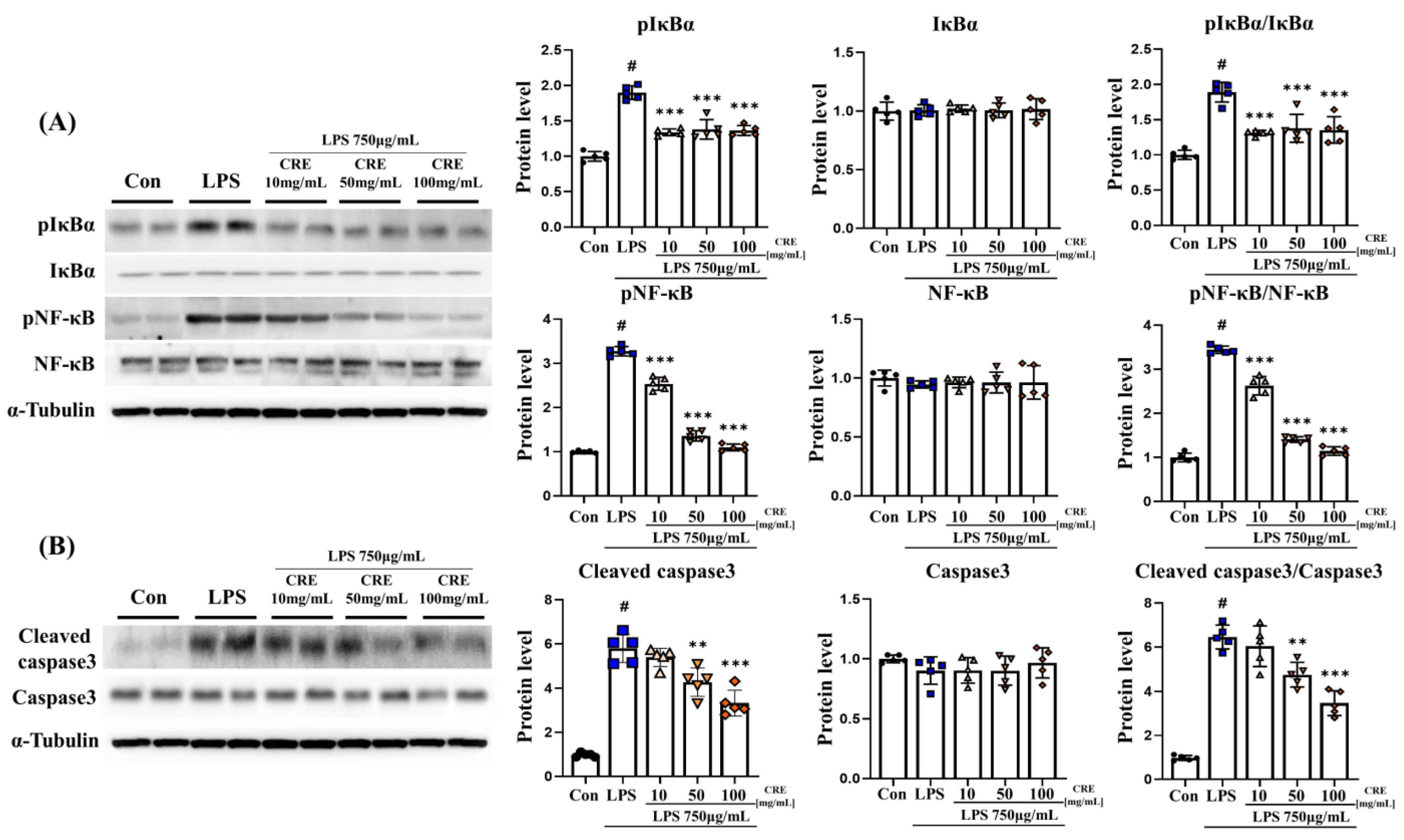 Biomedicines 11 02107 g005