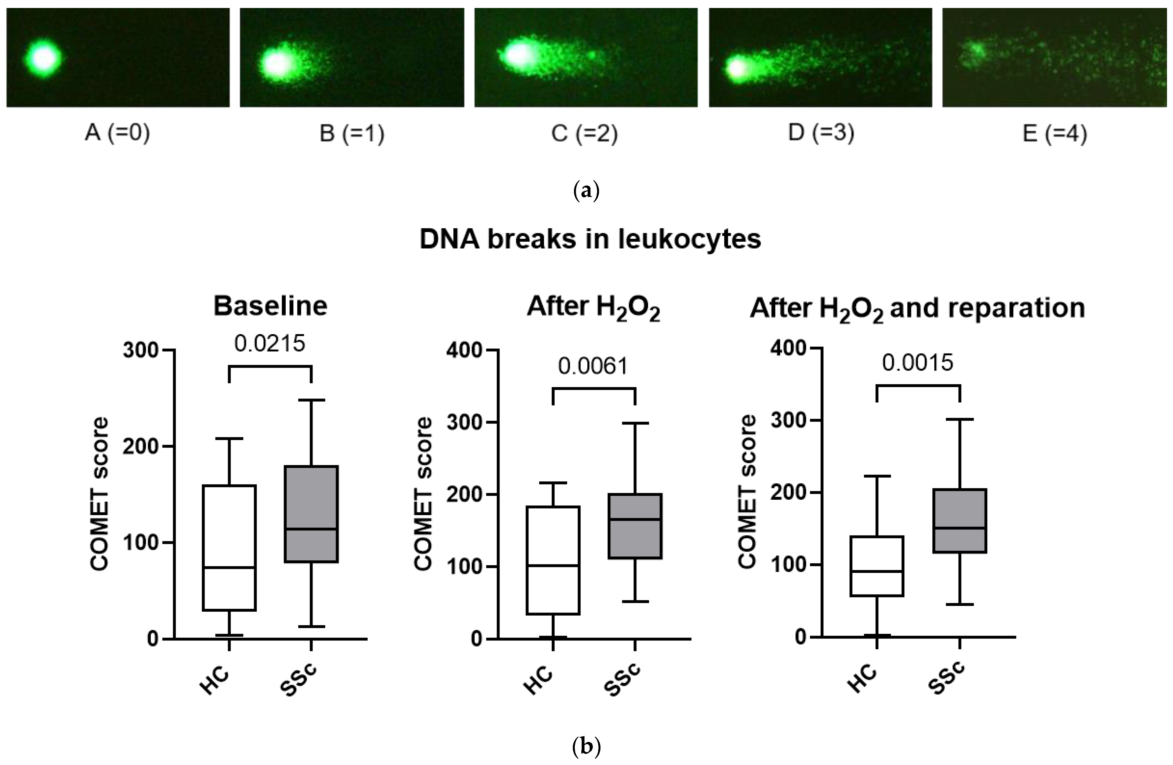 Biomedicines 11 02110 g003