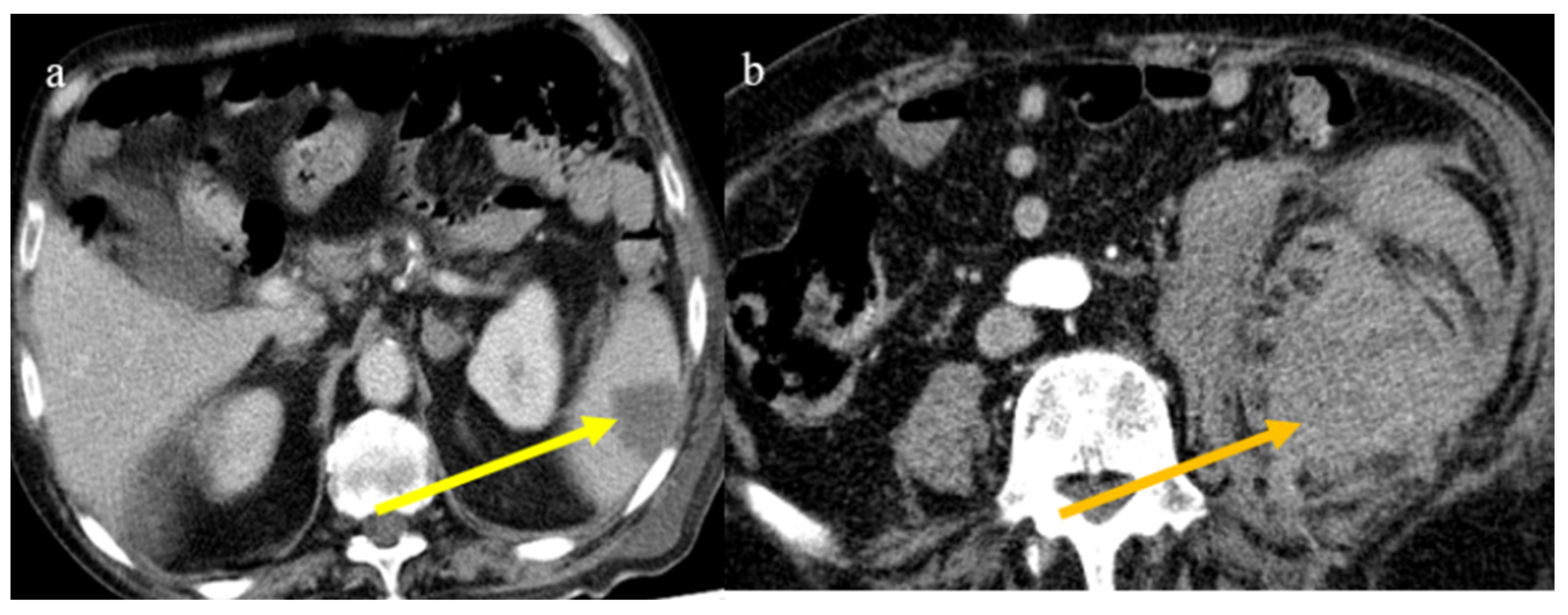 Biomedicines 11 02113 g025 Biomedicines 11 02113 g025