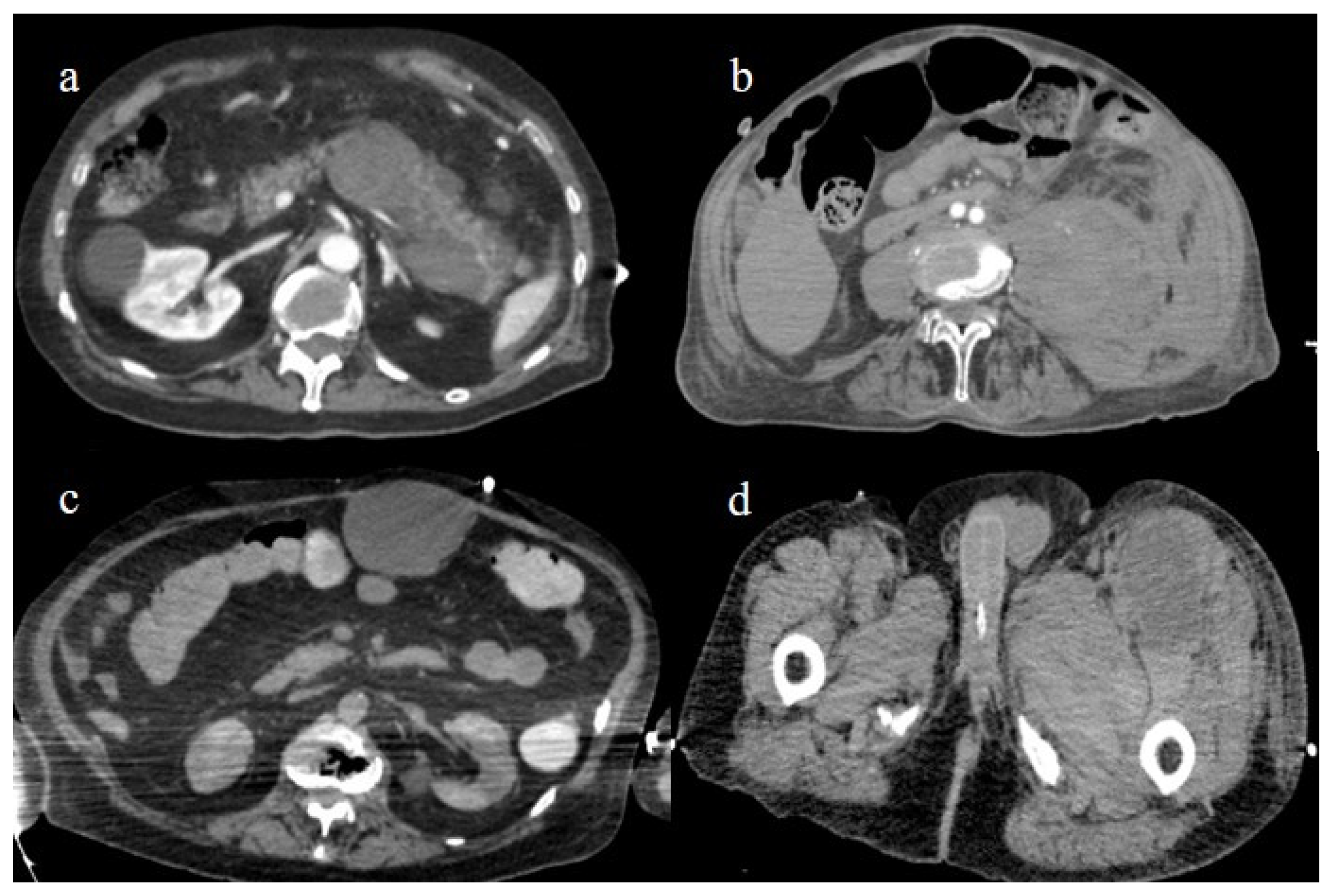 Biomedicines 11 02113 g027 Biomedicines 11 02113 g027